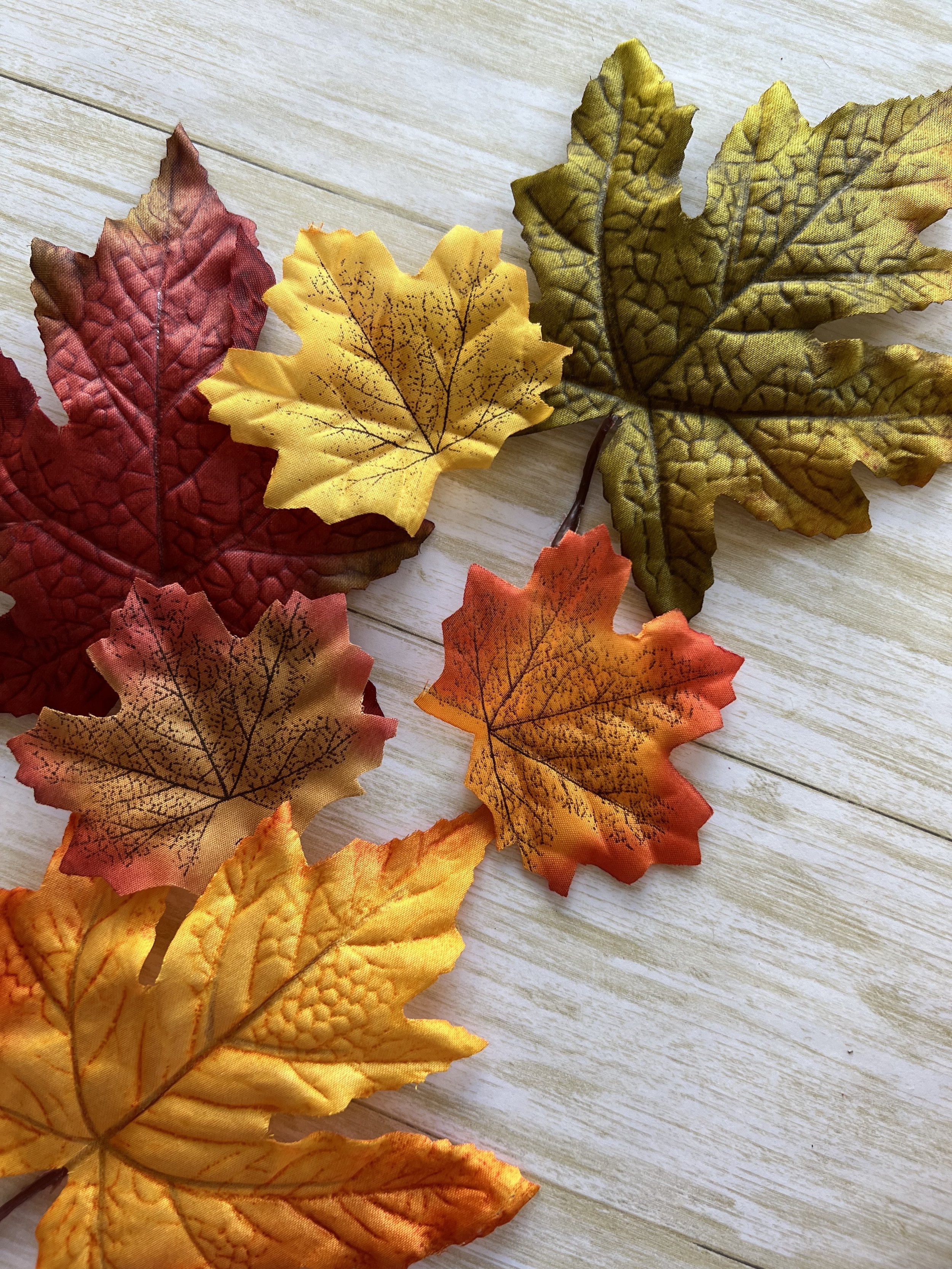 Stock_Photo_Autumn_Leaves_(2).jpeg