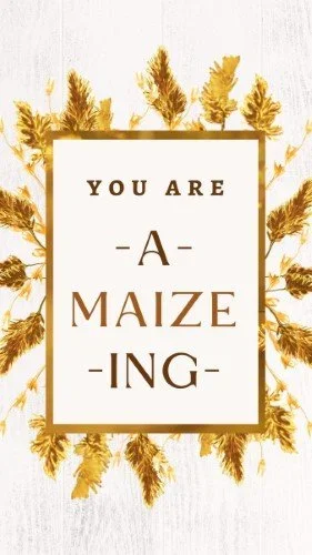 CAIGS1492-Golden+Harvest+You're+A-Maize-Ing.webp
