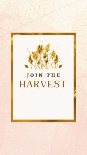 CAIGS2520-Golden+Harvest+Referral.webp