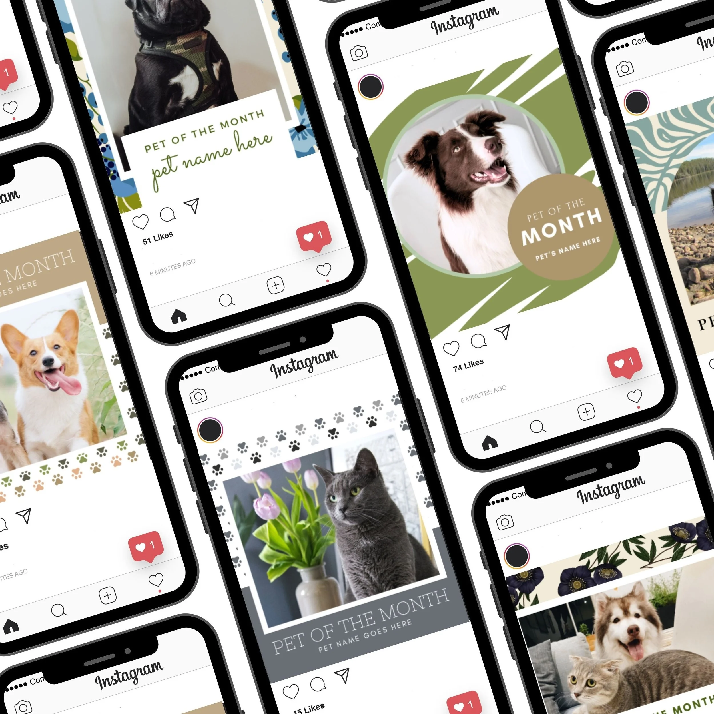 Virtual “Pet of the Month” Contest