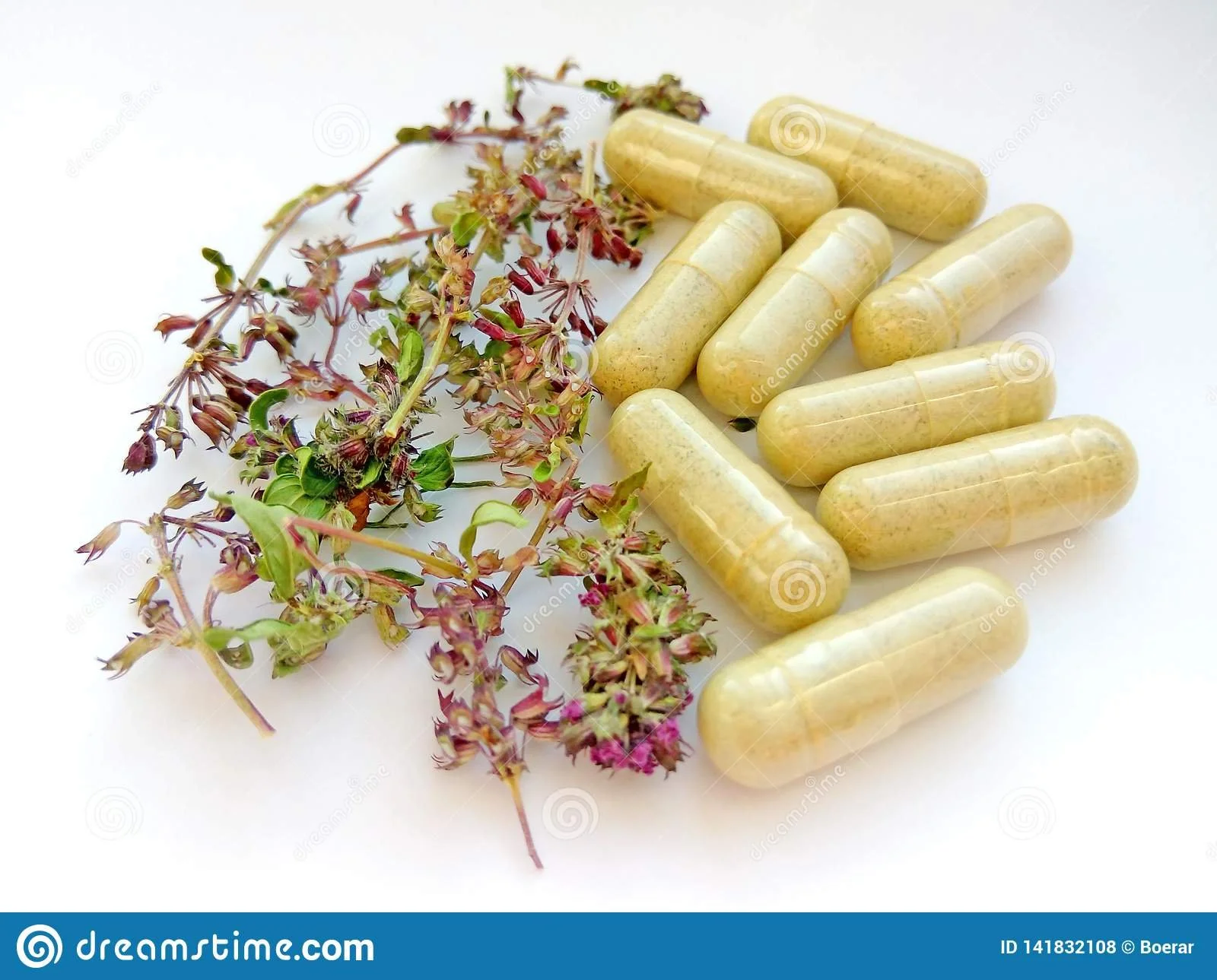 Adventures + Misadventures in the Supplement Jungle