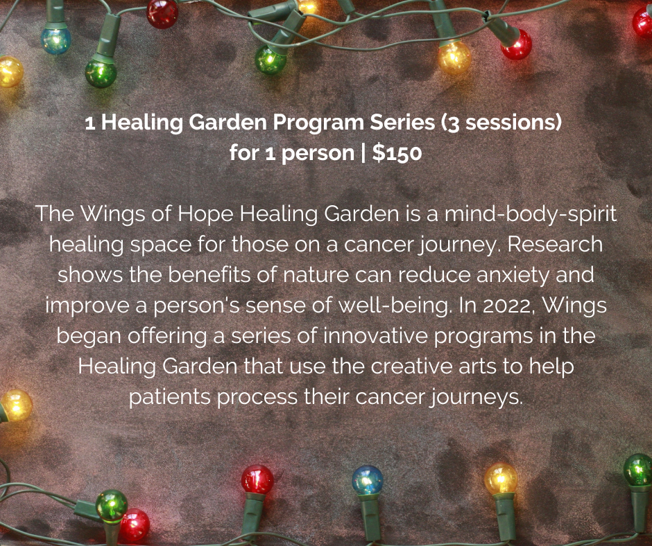1 Healing Garden program session.png