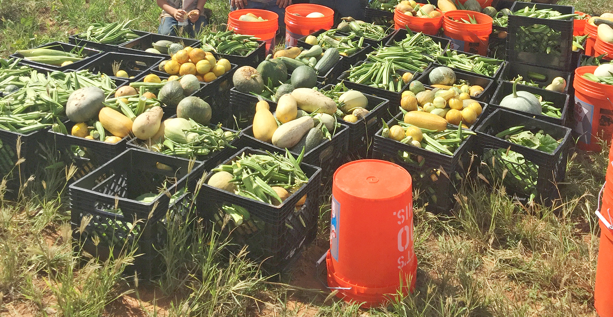 farmtofoodbank.jpg