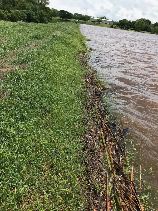 The Long Branch watershed site is shown here at its fullest capacity but working as it should by running through the emergency spillway.