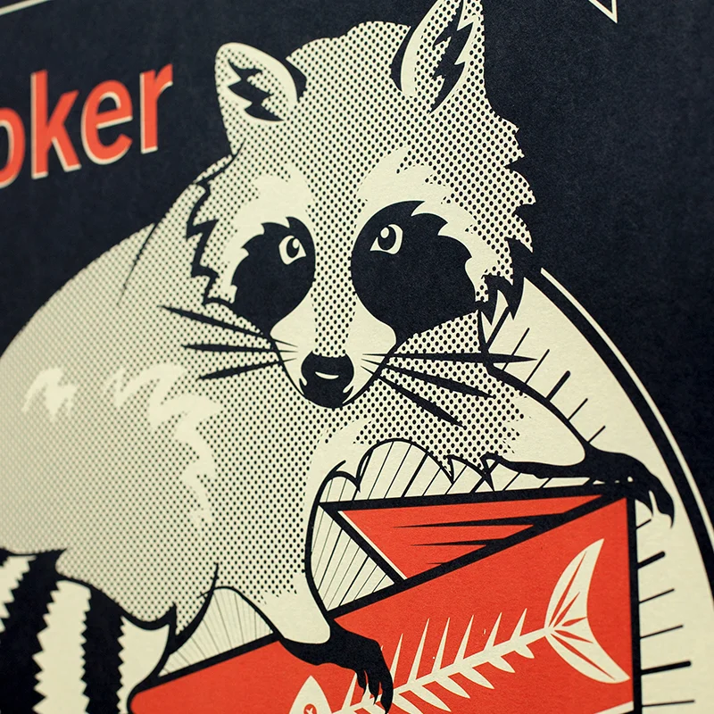 Raccoon_Detail.jpg