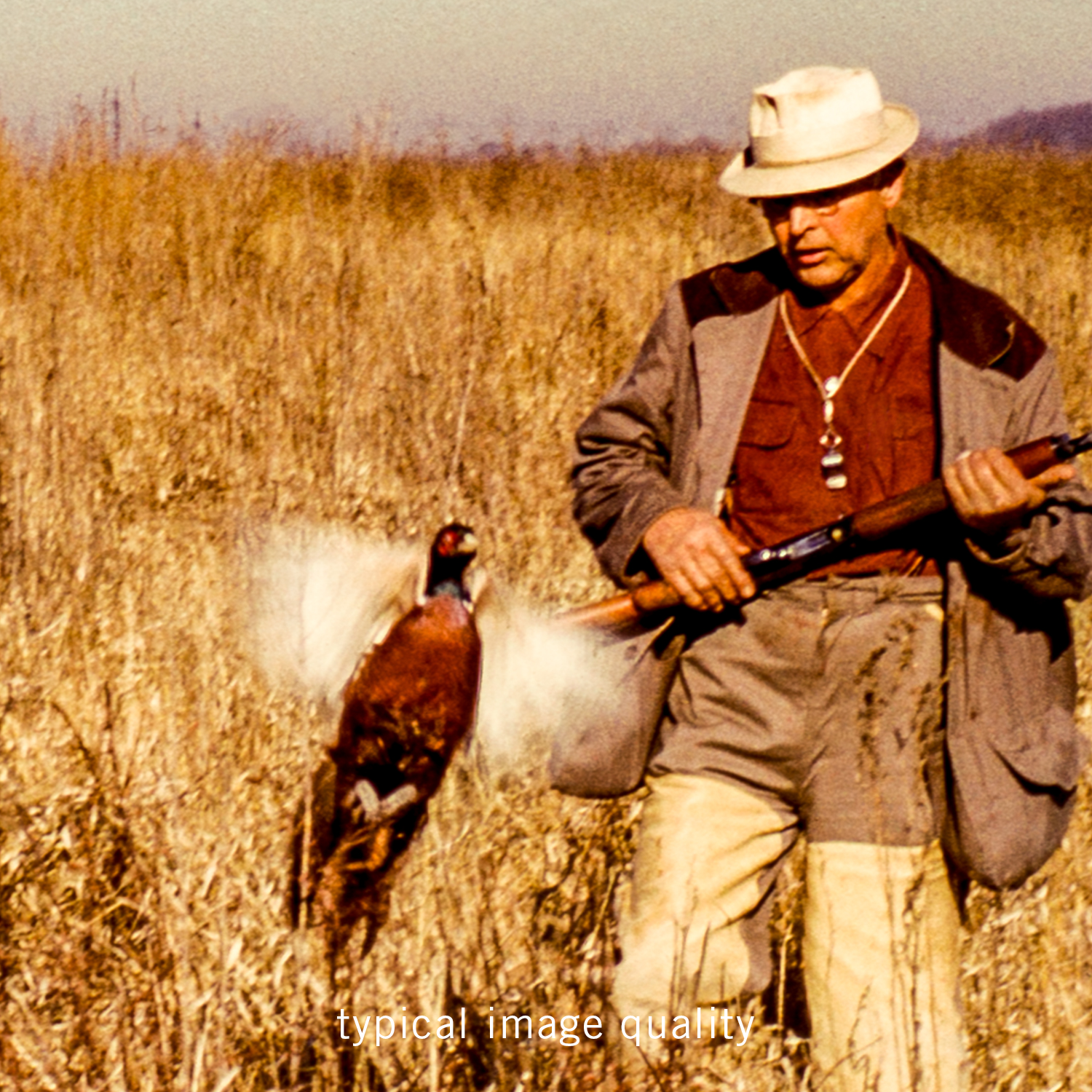 Detail_Two Guys, A Dog and A Pheasant.png