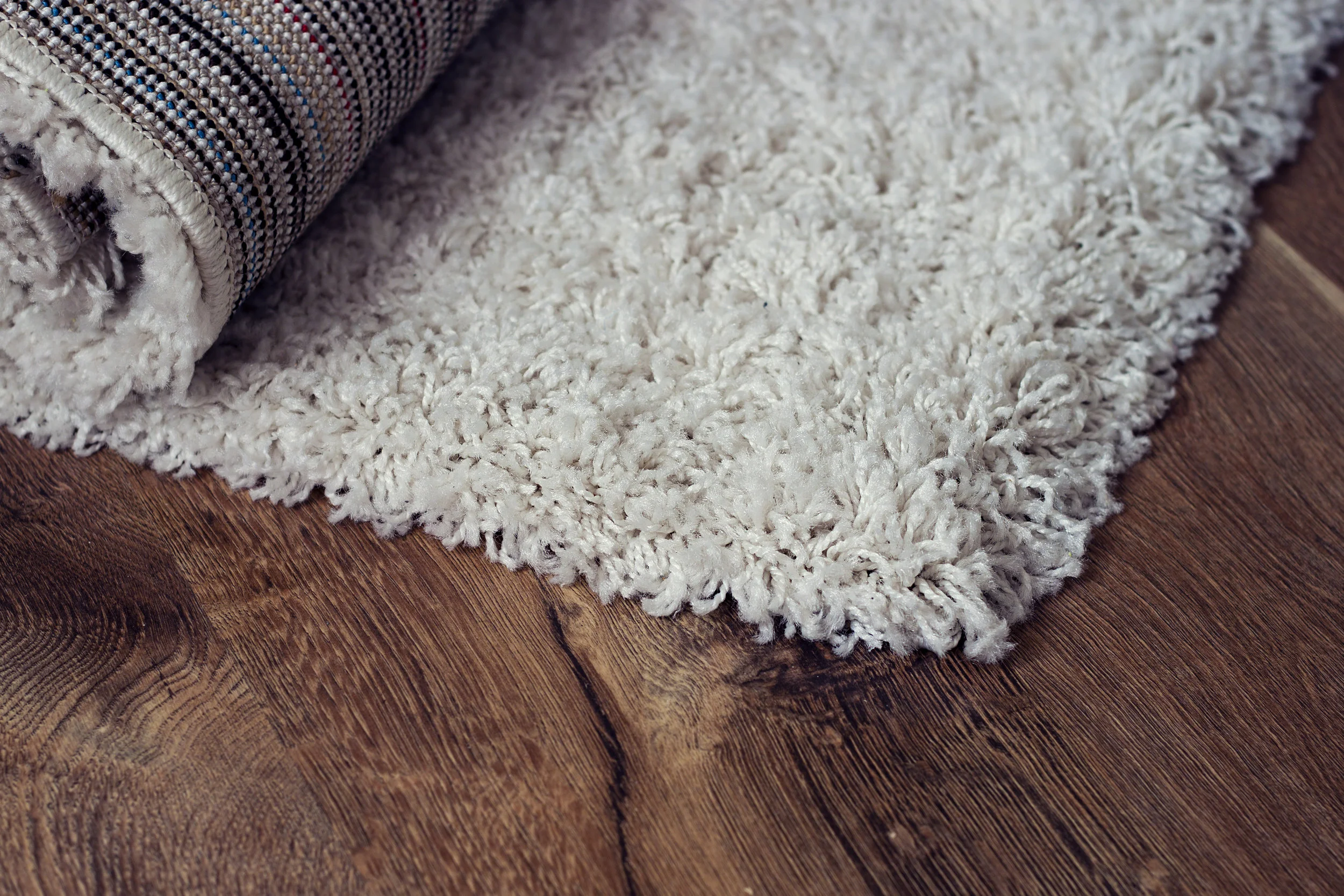 AdobeStock_109302311.jpeg