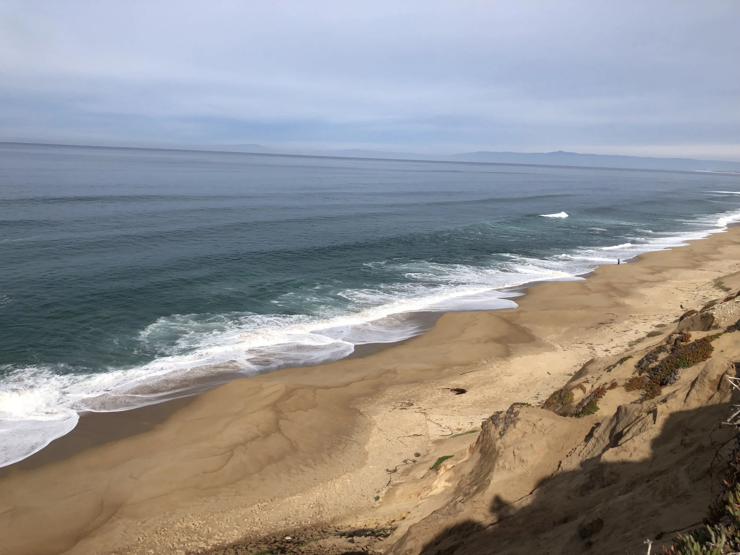 The sandy dunes and beach of Monterey Bay, from Sand City to the Pajaro River Mouth are a critical breeding ground for Snowy Plovers