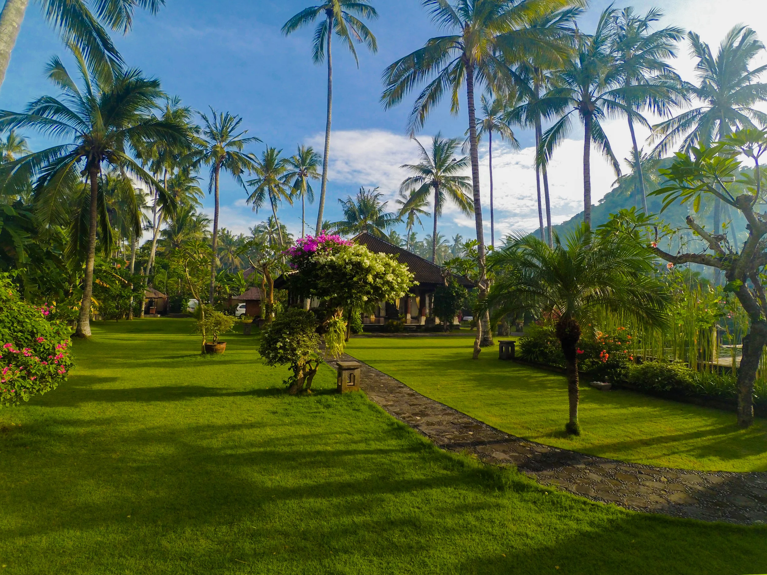 Bali Lawns