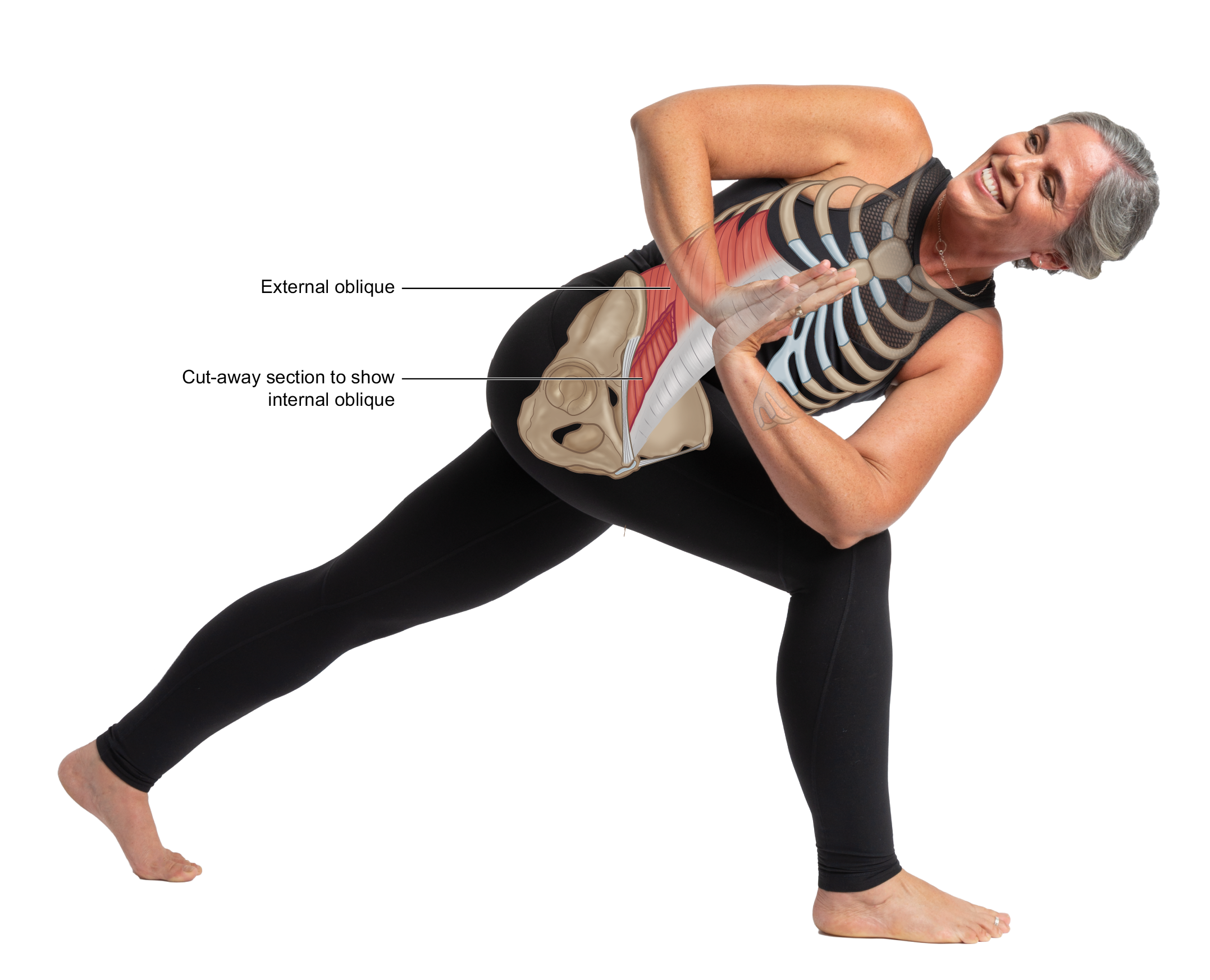 EPM Anatomy & Movement Mentorship — YOGA PROJECT