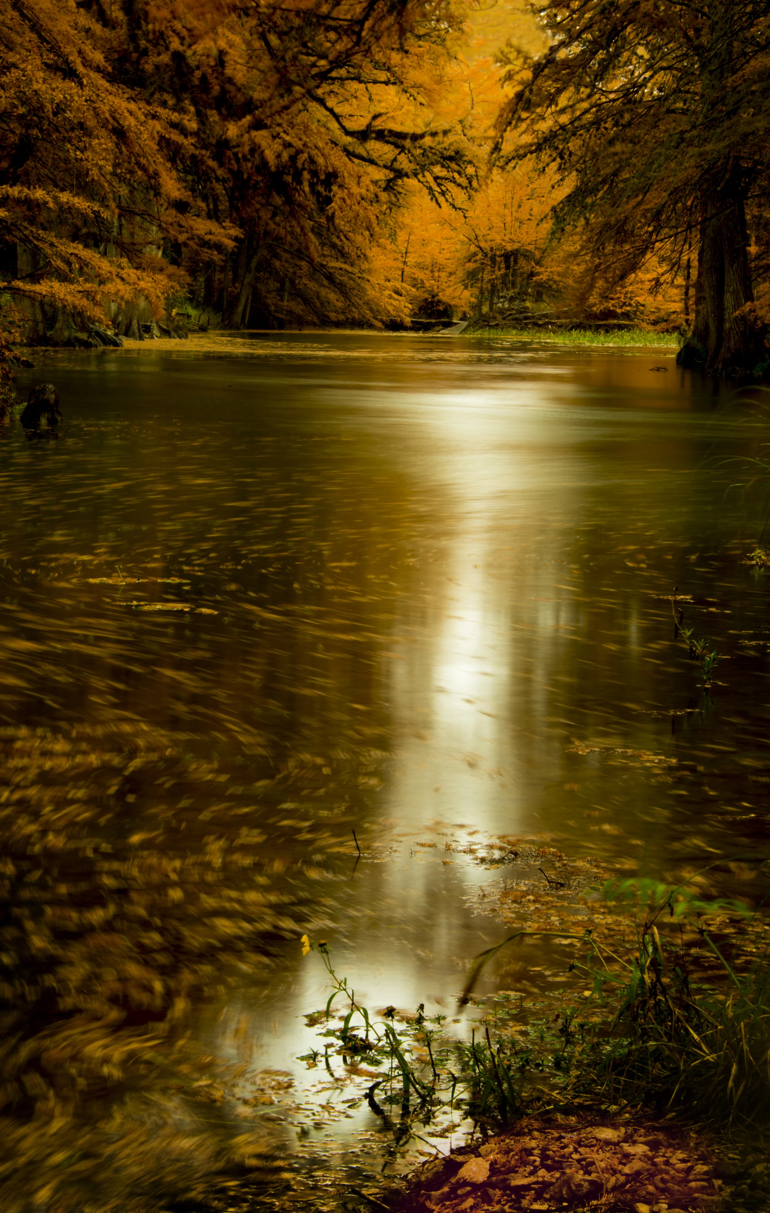 DSC_5001R.jpg