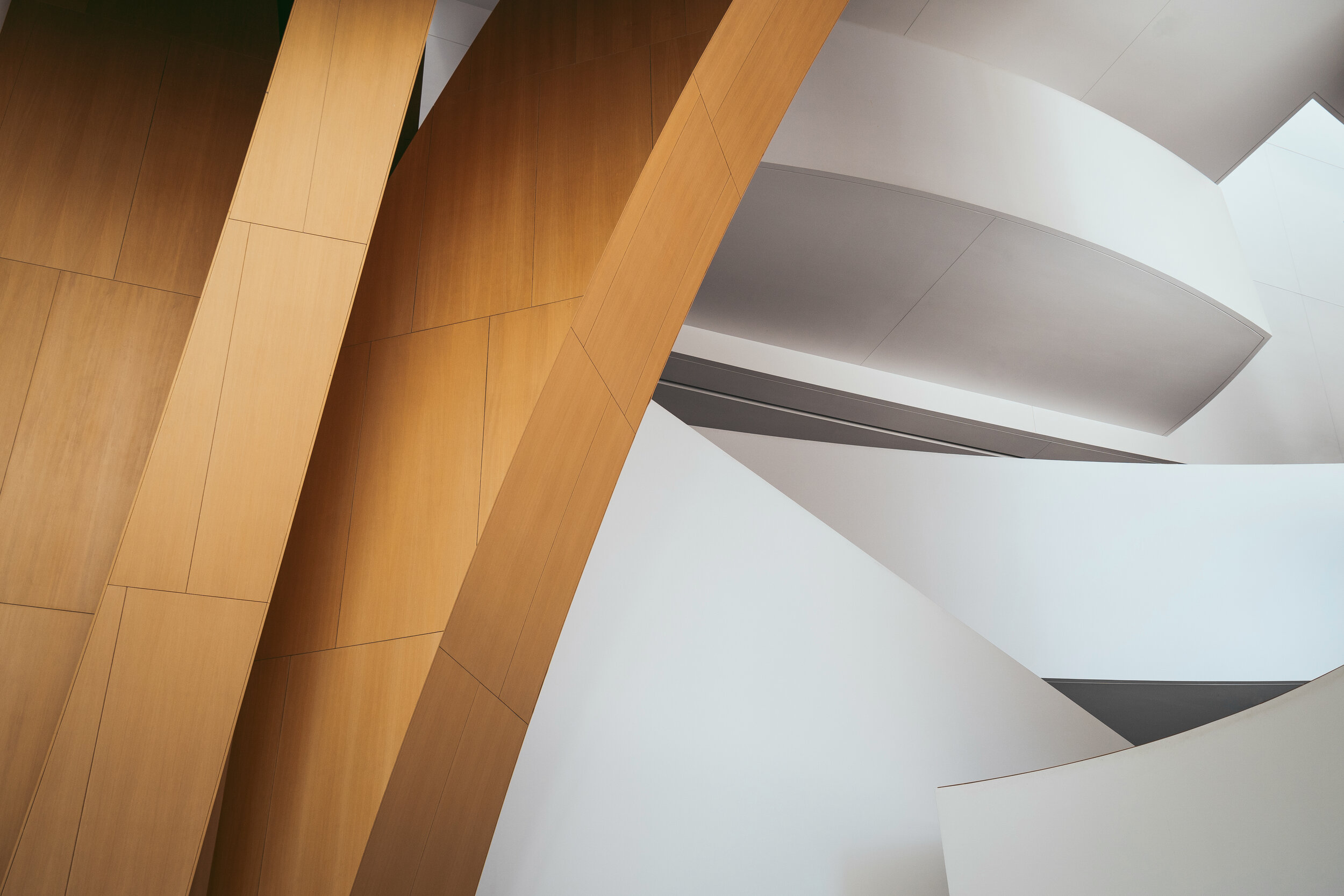 The Walt Disney Concert Hall - Los Angeles, California