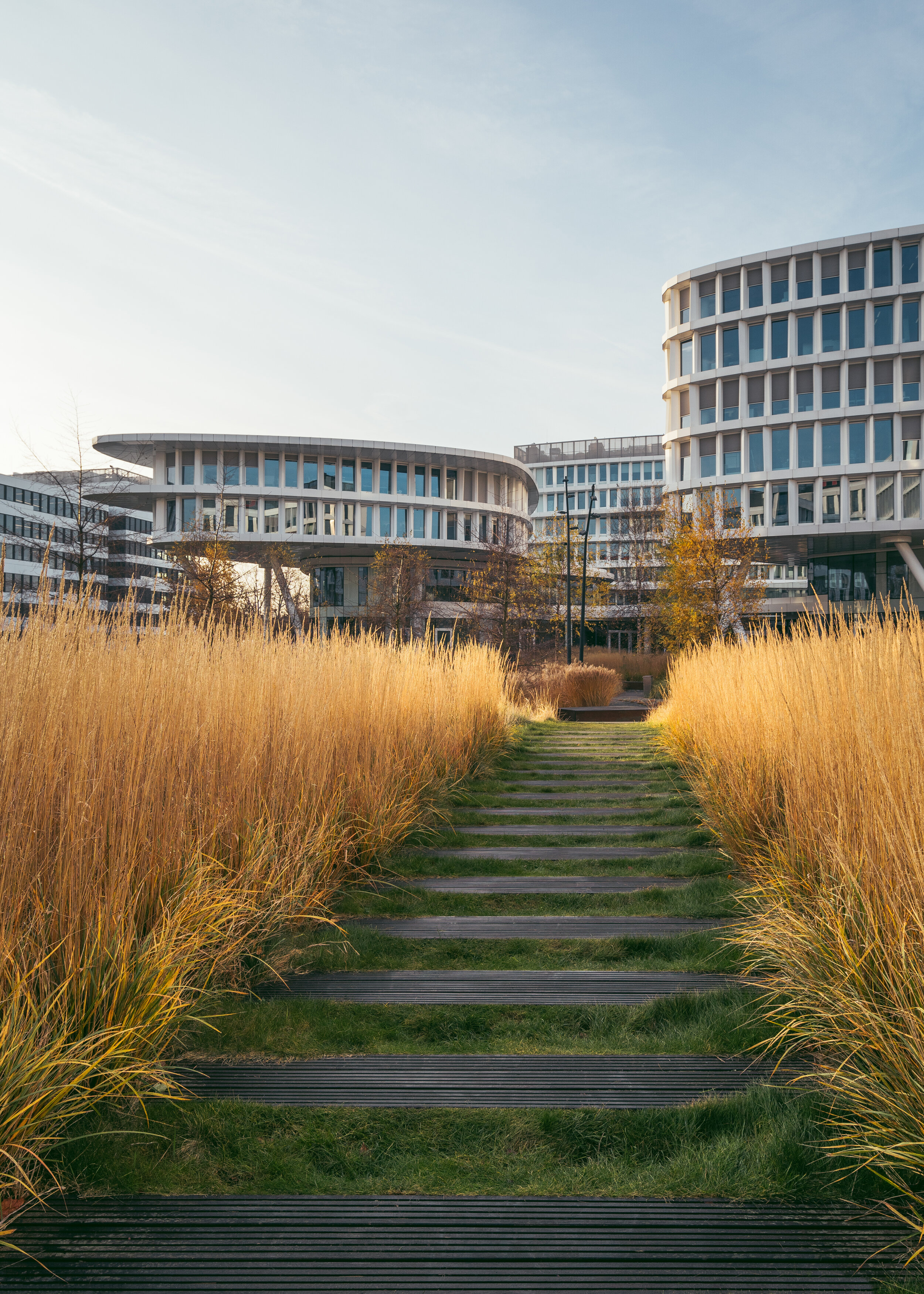 Business Garden Warszawa - Fuksas