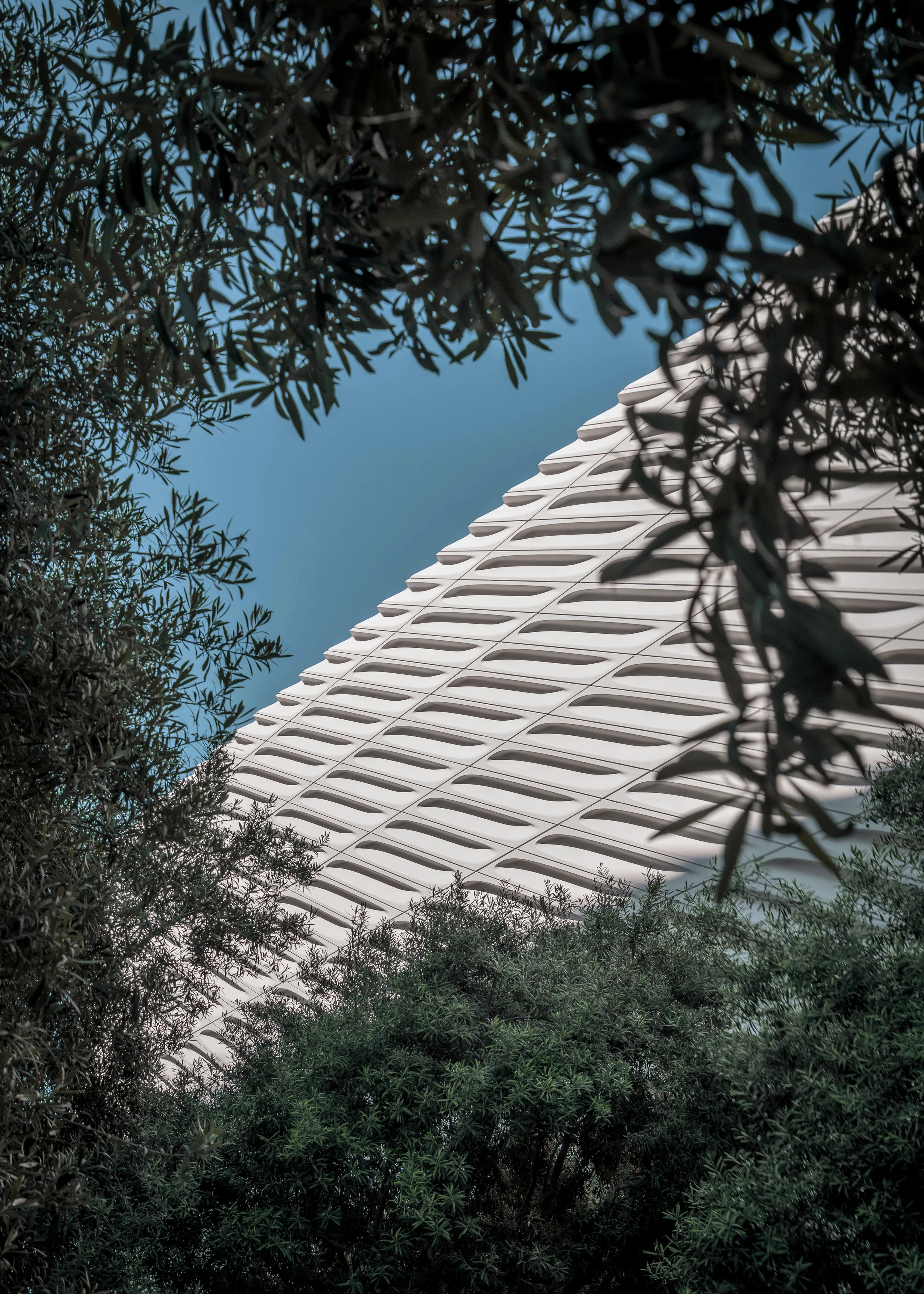 The Broad - Diller Scofidio + Renfro -  Los Angeles, California