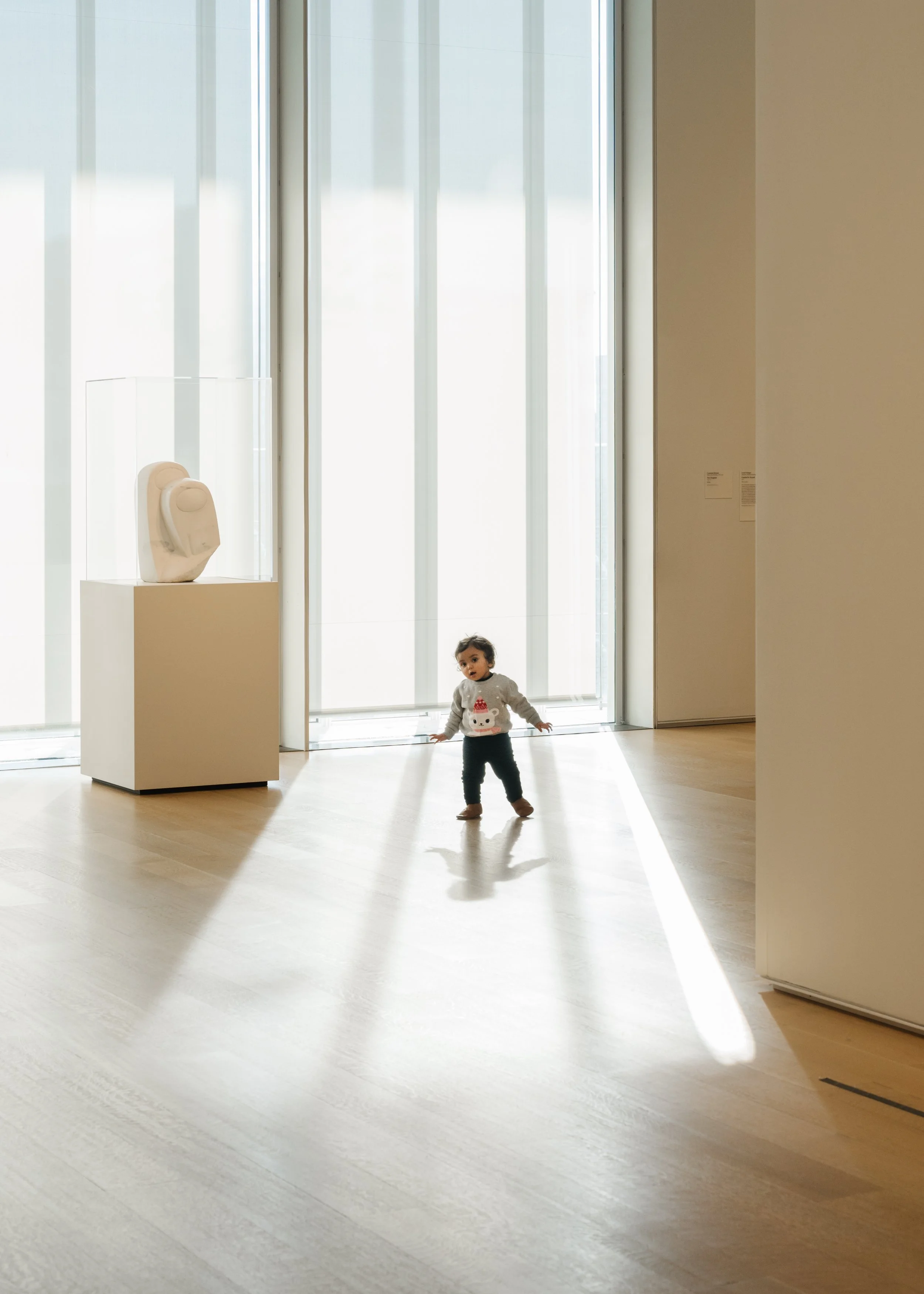 The Art Institute of Chicago - Renzo Piano