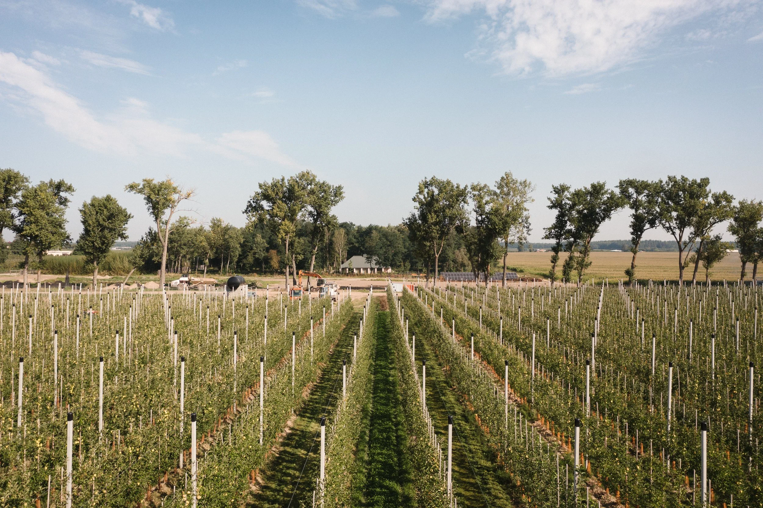 The Orchard House - Studio Otamto - Grójec, Poland