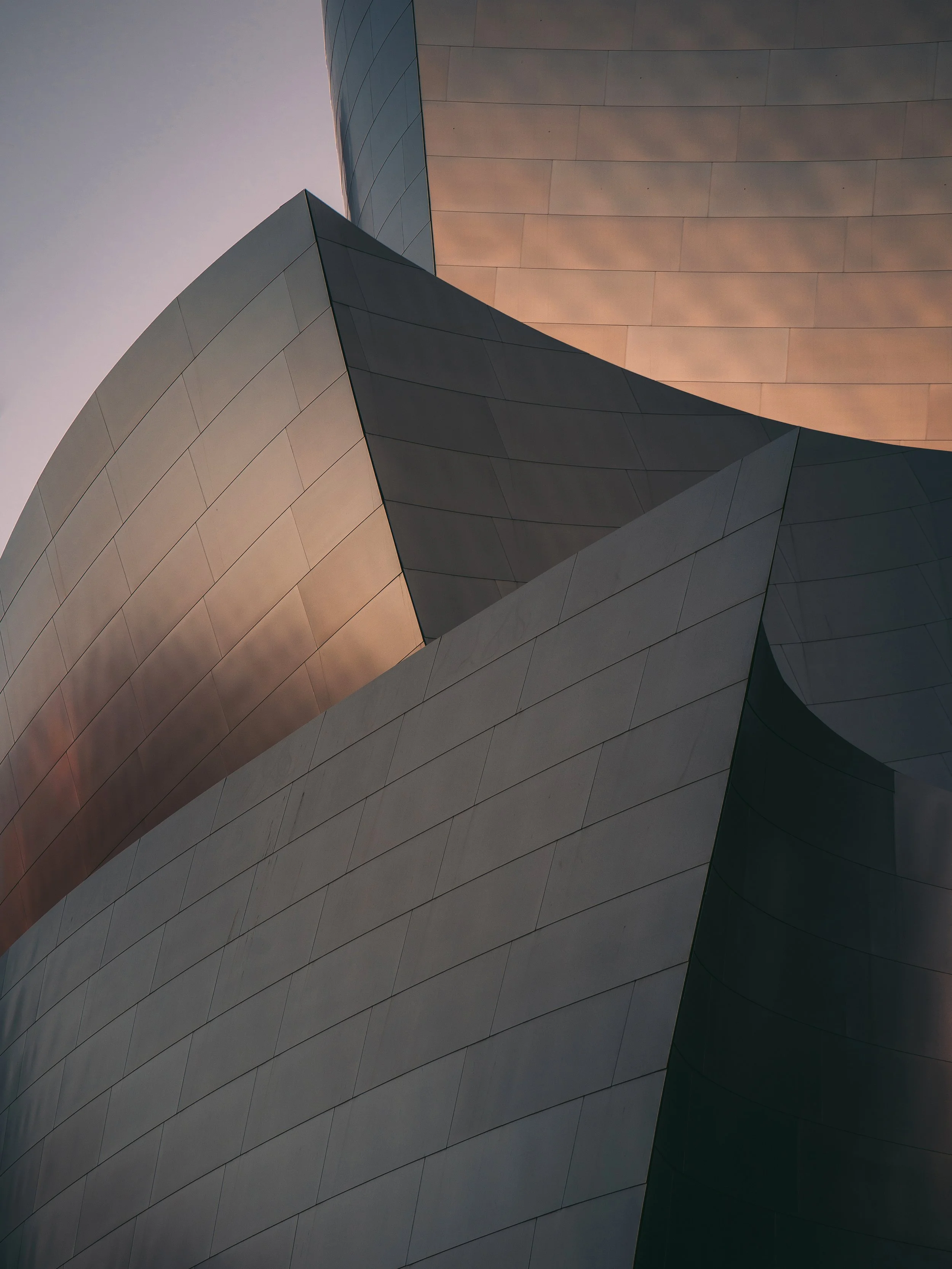Walt Disney Concert Hall - Frank Gehry