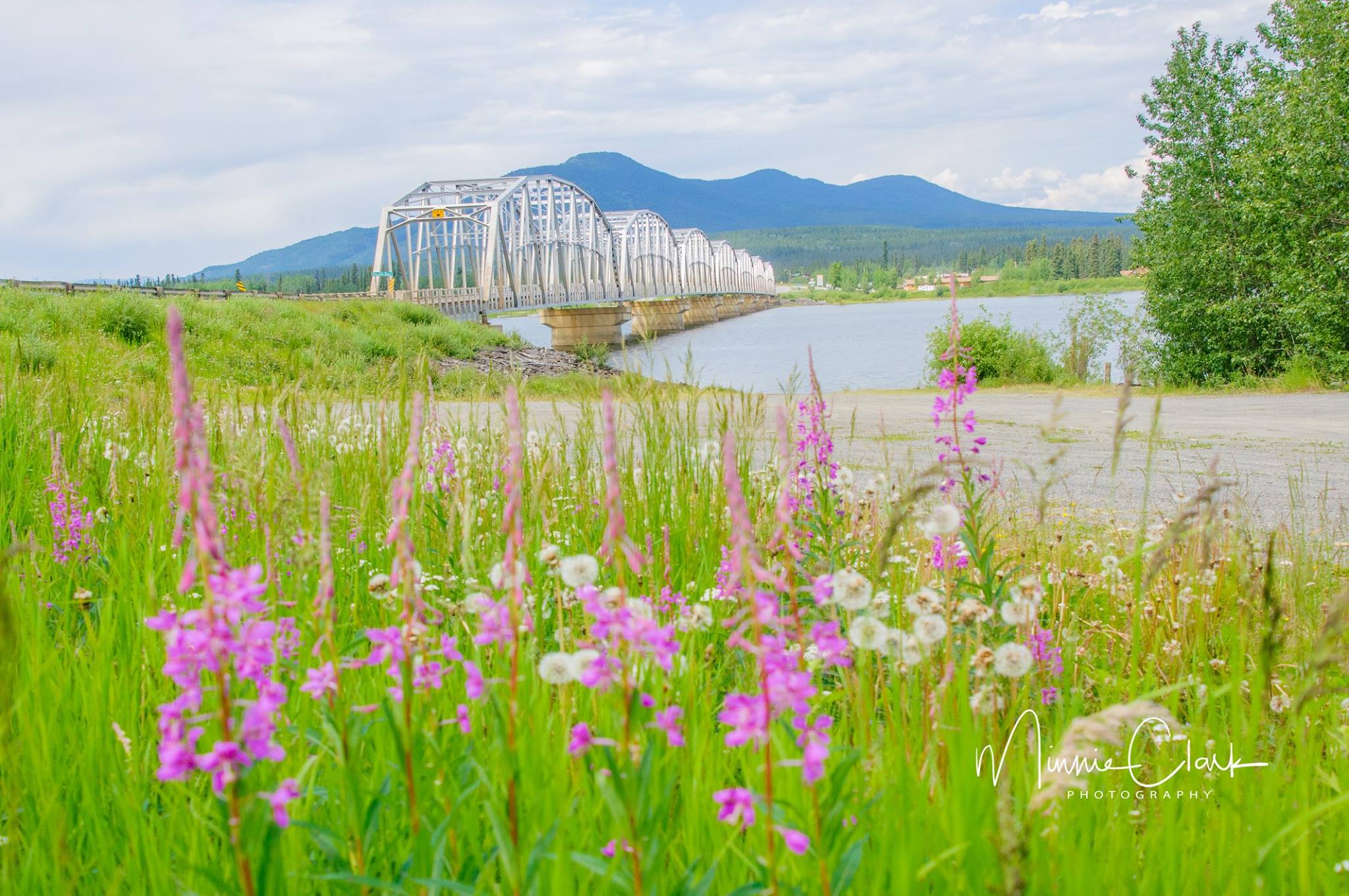 Teslin Bridge.jpg