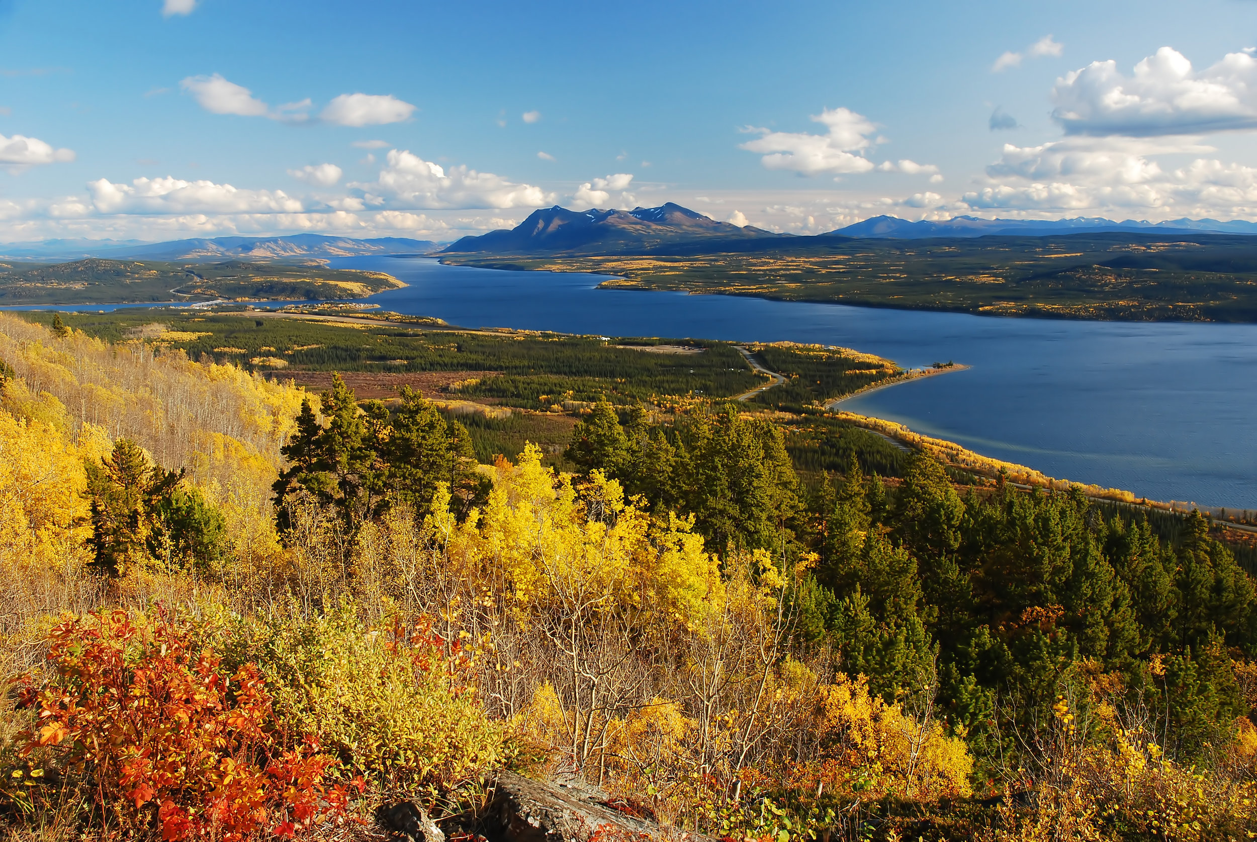 Teslin in Fall-Final.jpg