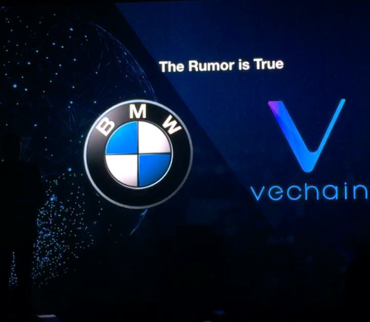 Image-1.png