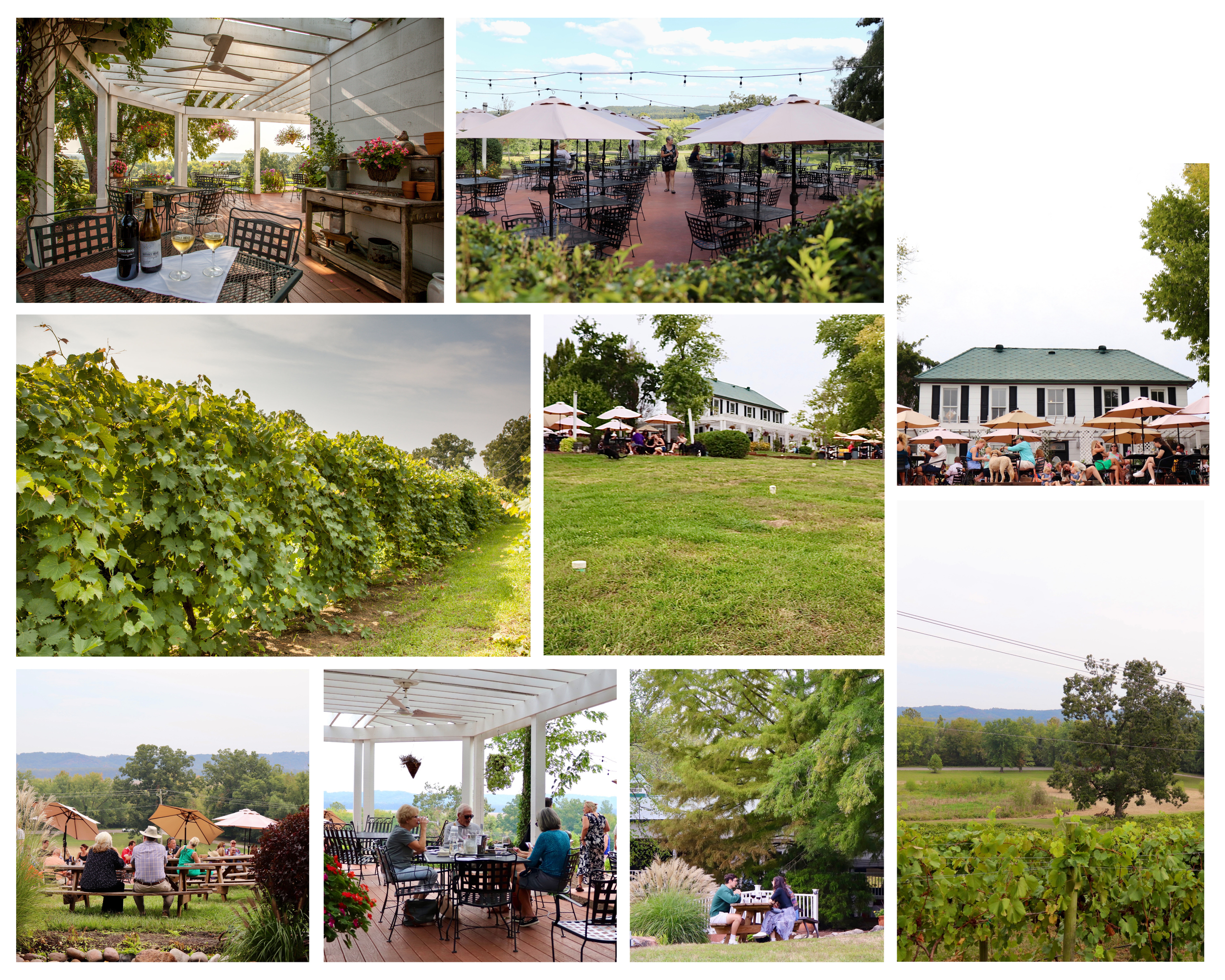 DRV Photo Gallery 2.png