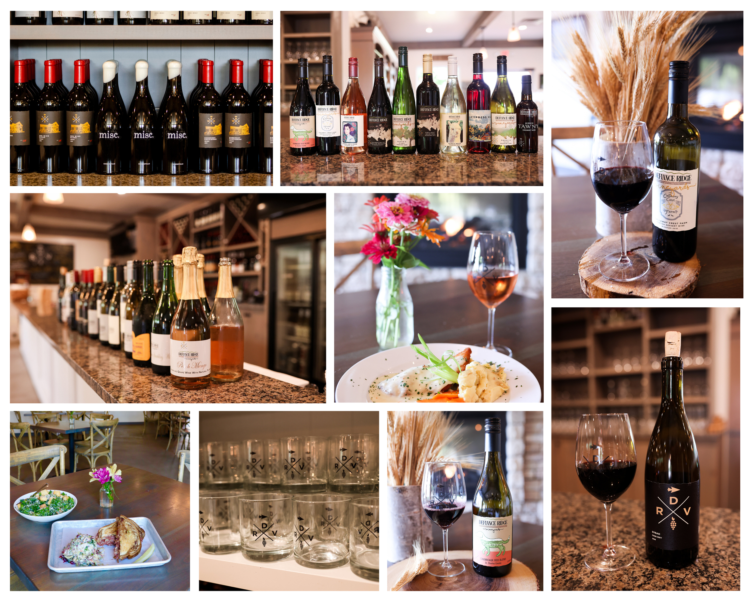 DRV Photo Gallery 3.png