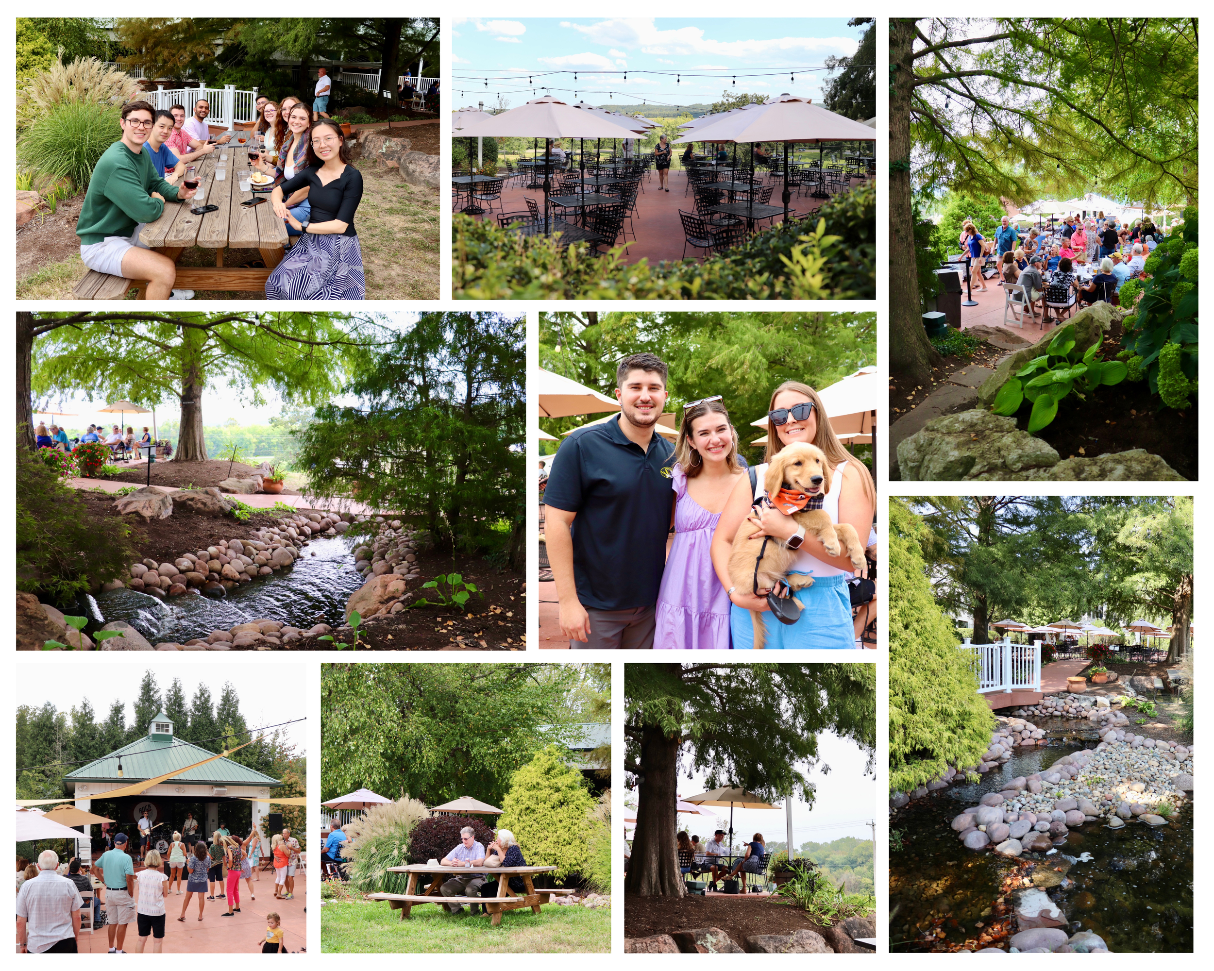 DRV Photo Gallery 5 (1).png