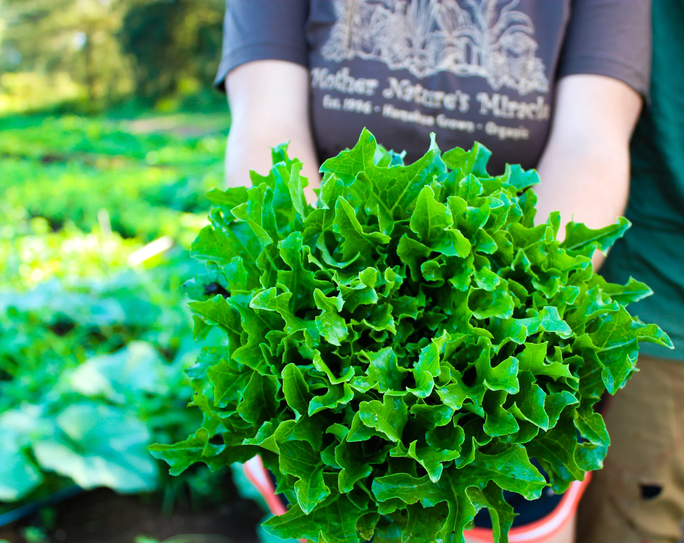 MNM Farm Photos 2017_Dayva Keolanui-24.jpg