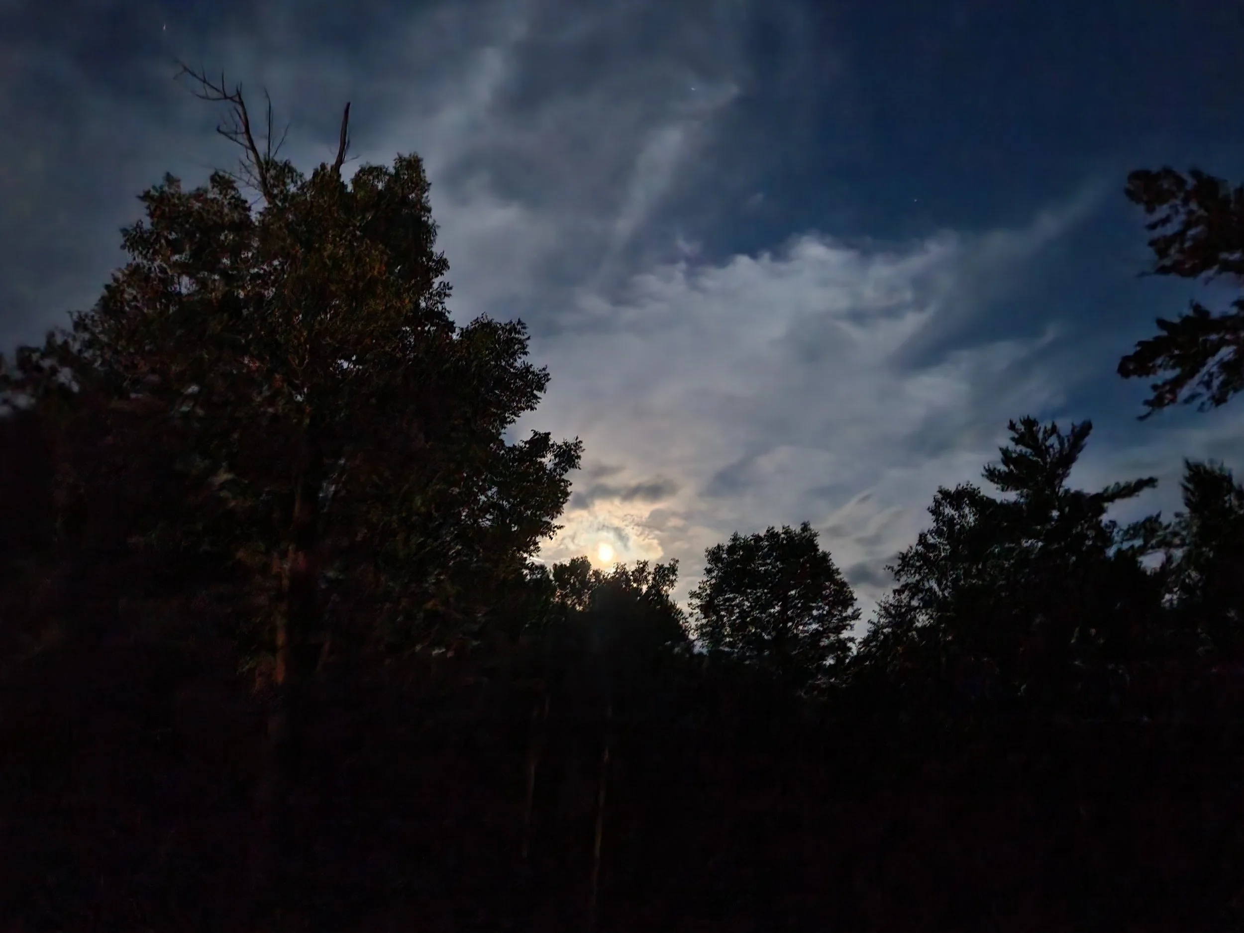 20230727_212503.jpg
