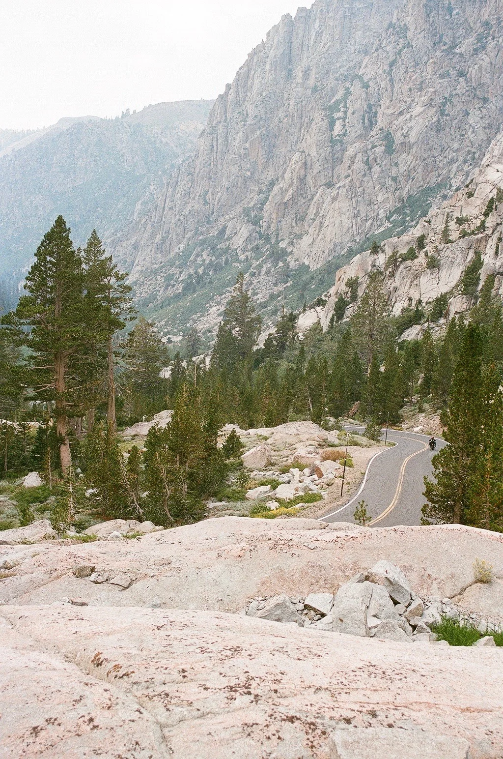 23480005.jpg