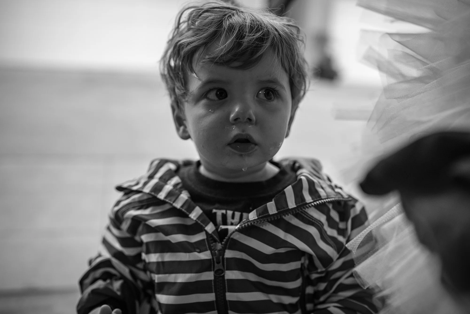 20171115-DSC_0753-2.jpg