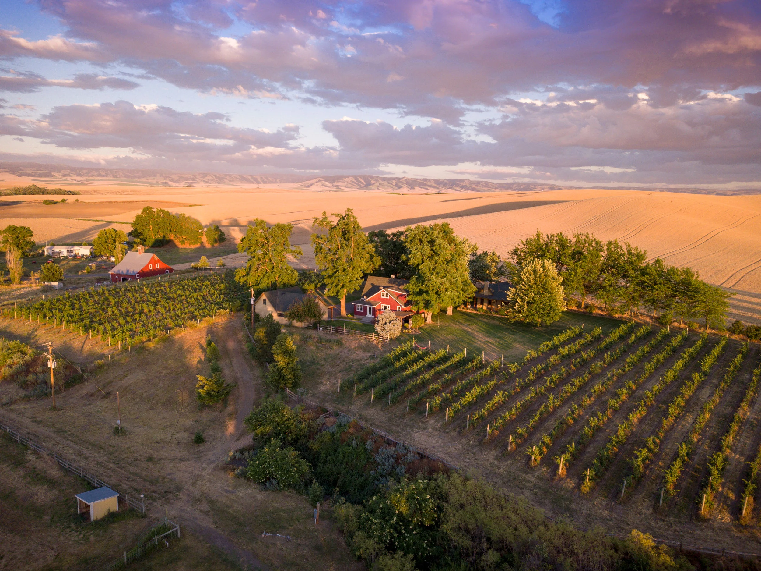 DJI_0112.jpg