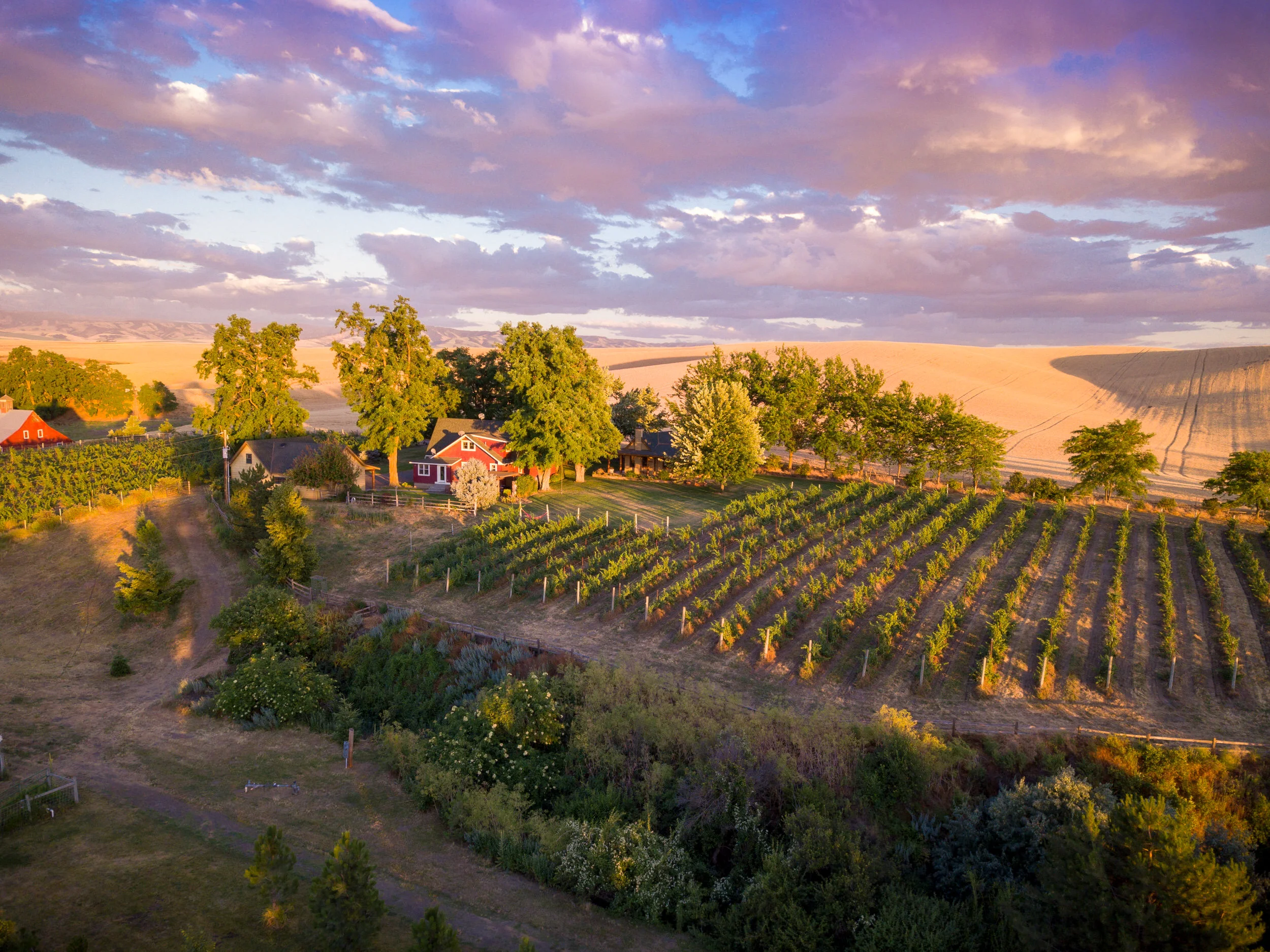 DJI_0111.jpg