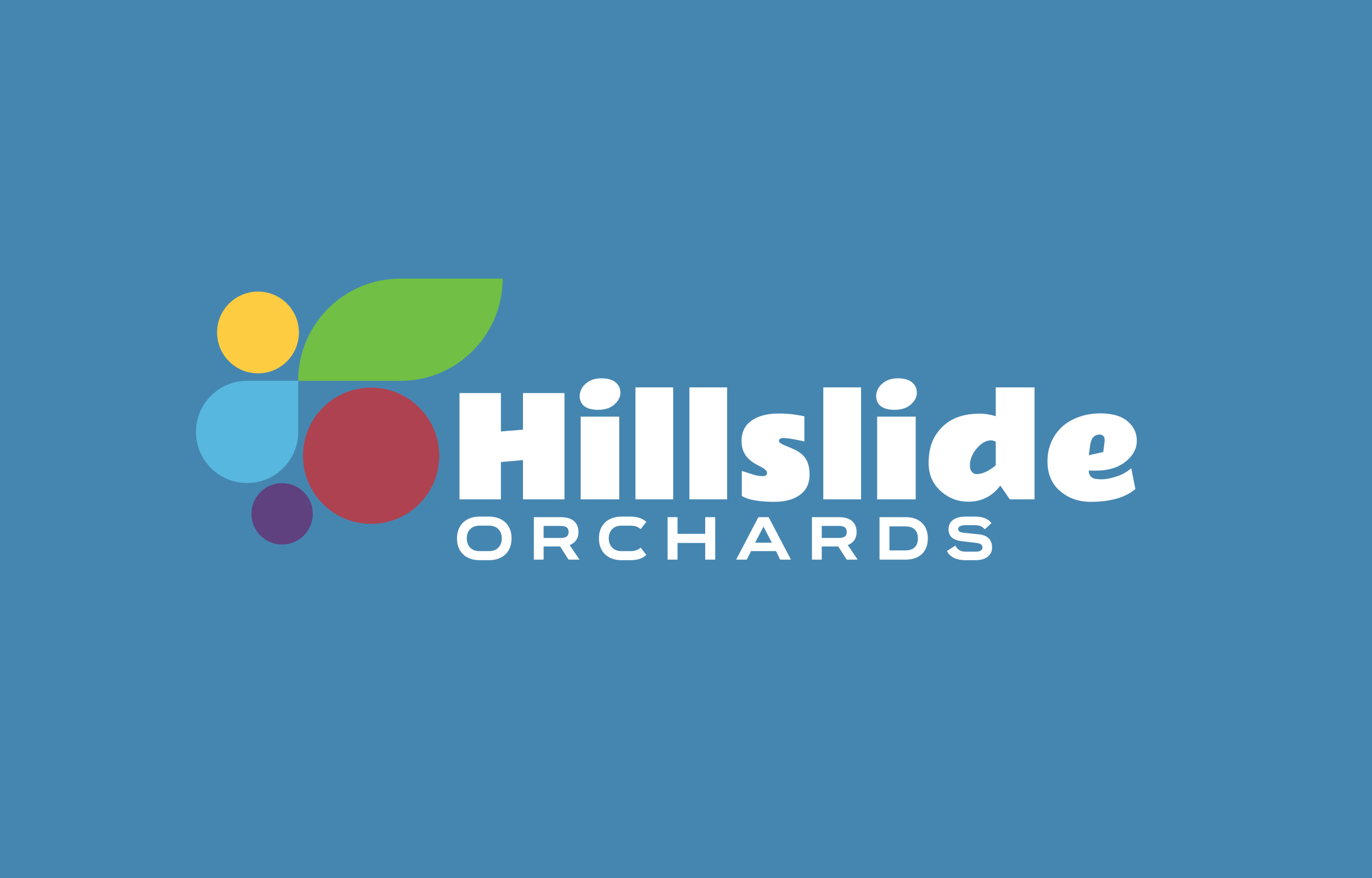 hillslide-logo-blue.png