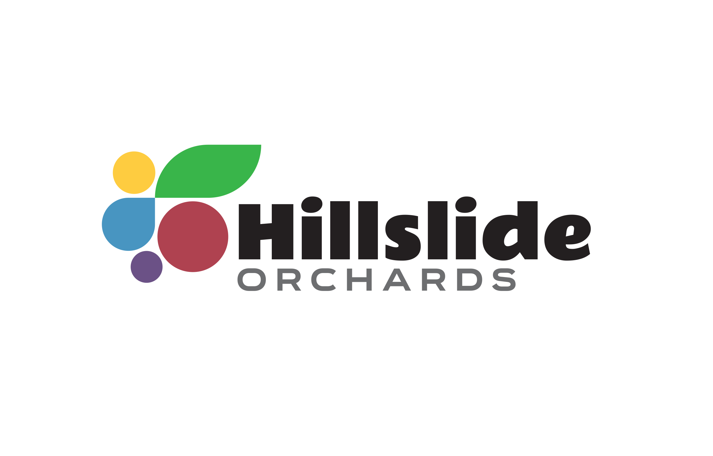 hillslide-logo-white.png
