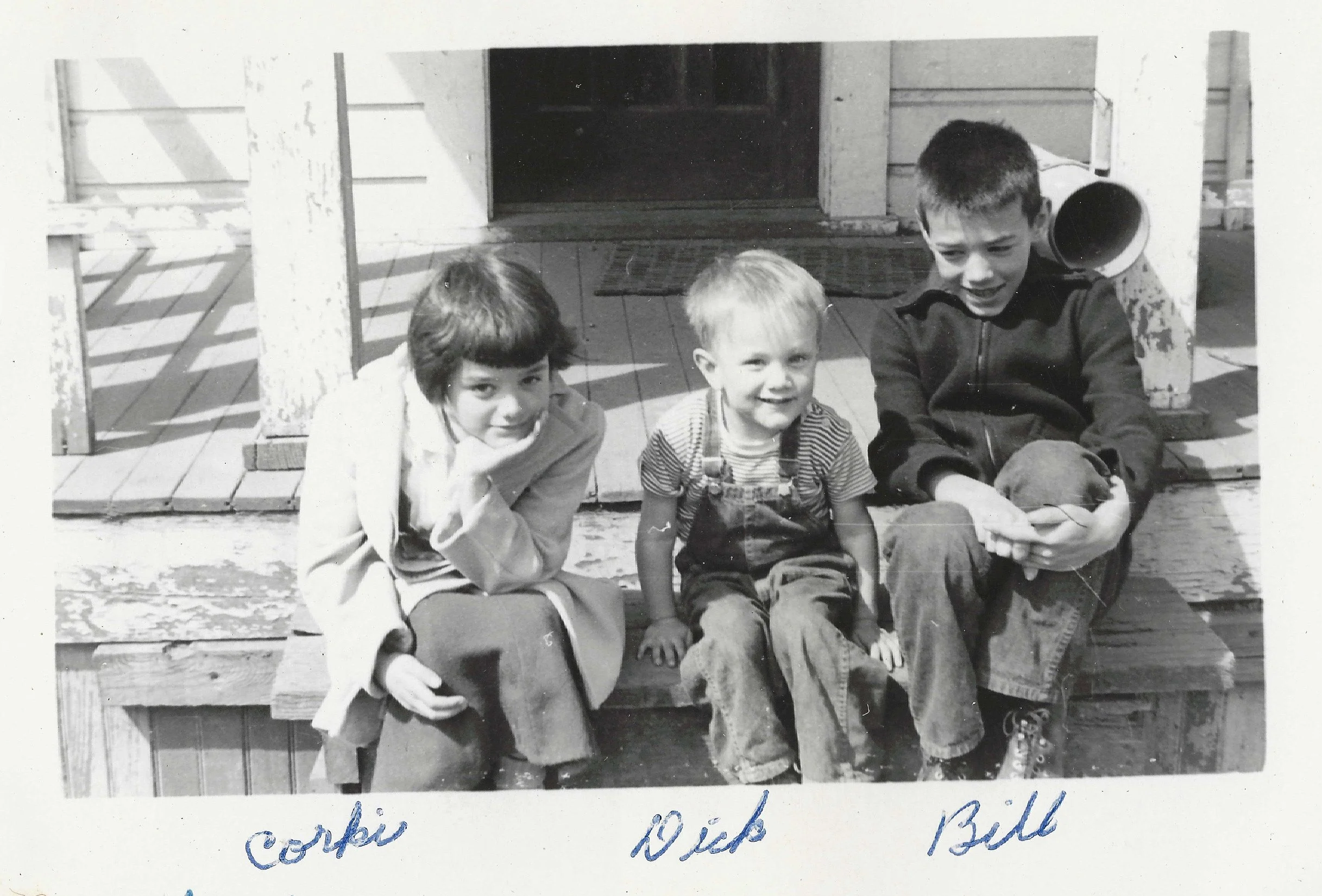 a6.jpg