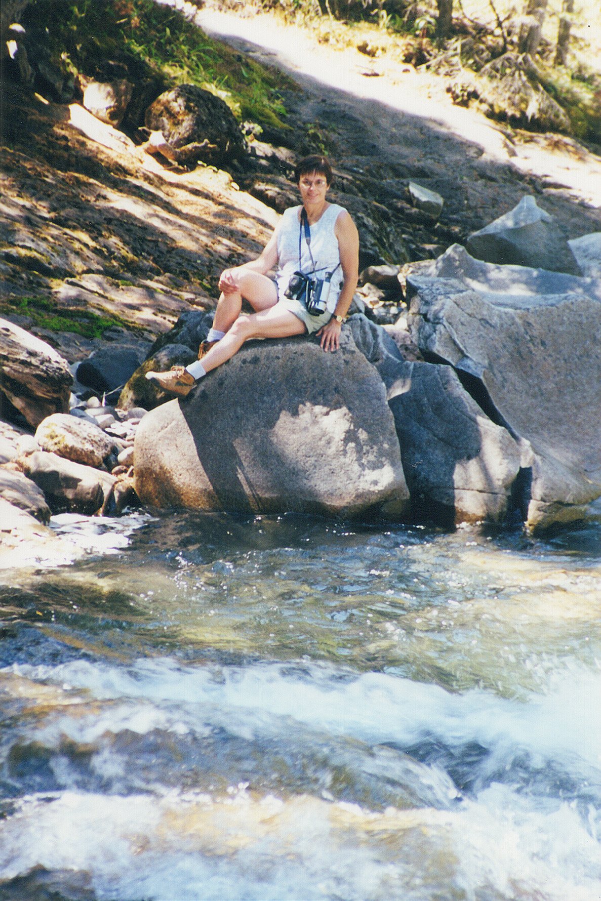c94.jpg