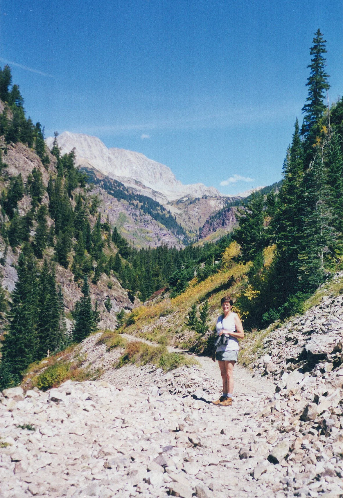 c96.jpg