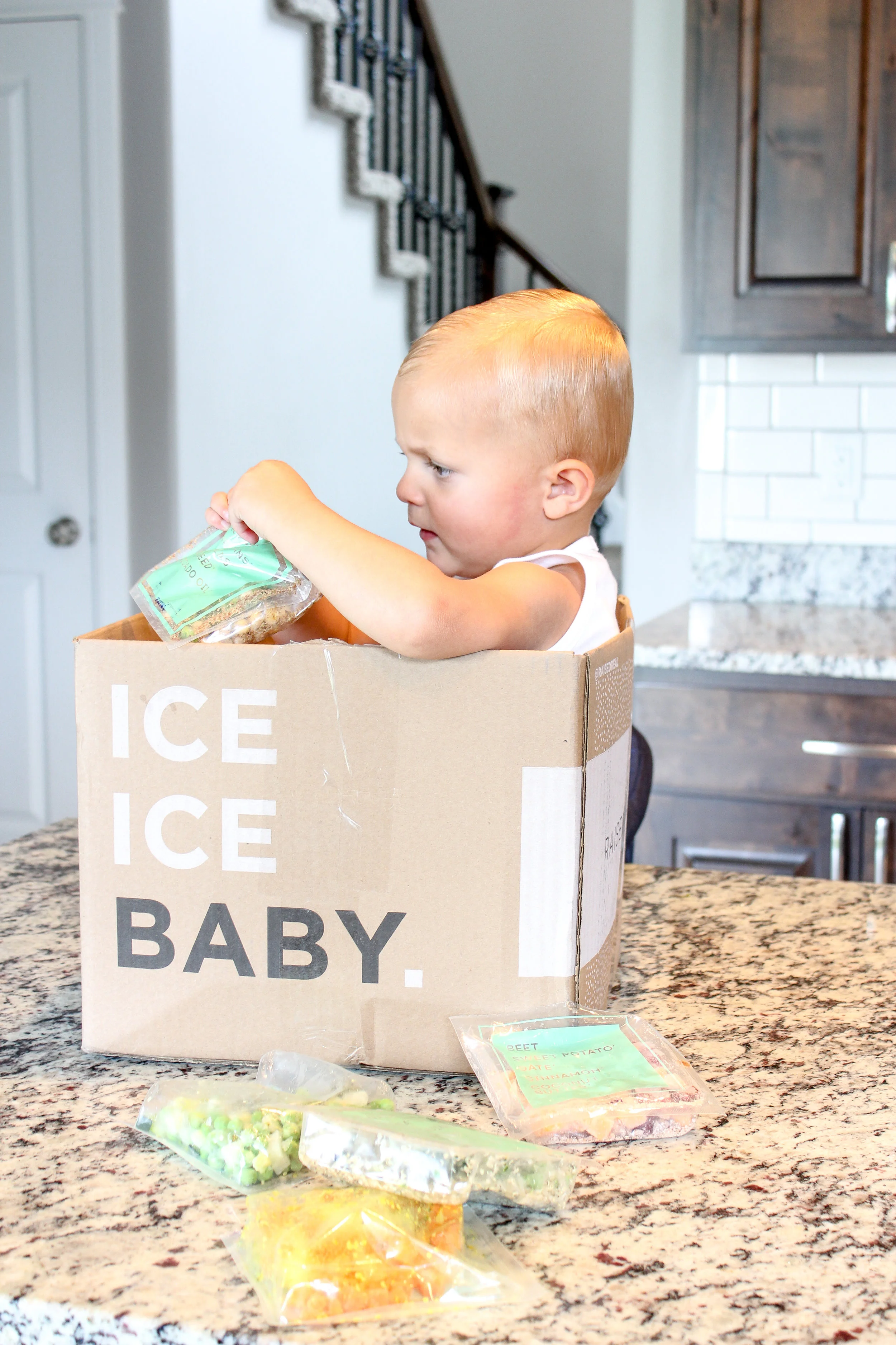 Easy Vegan Meals for your Baby &amp; Toddler with Raised Real