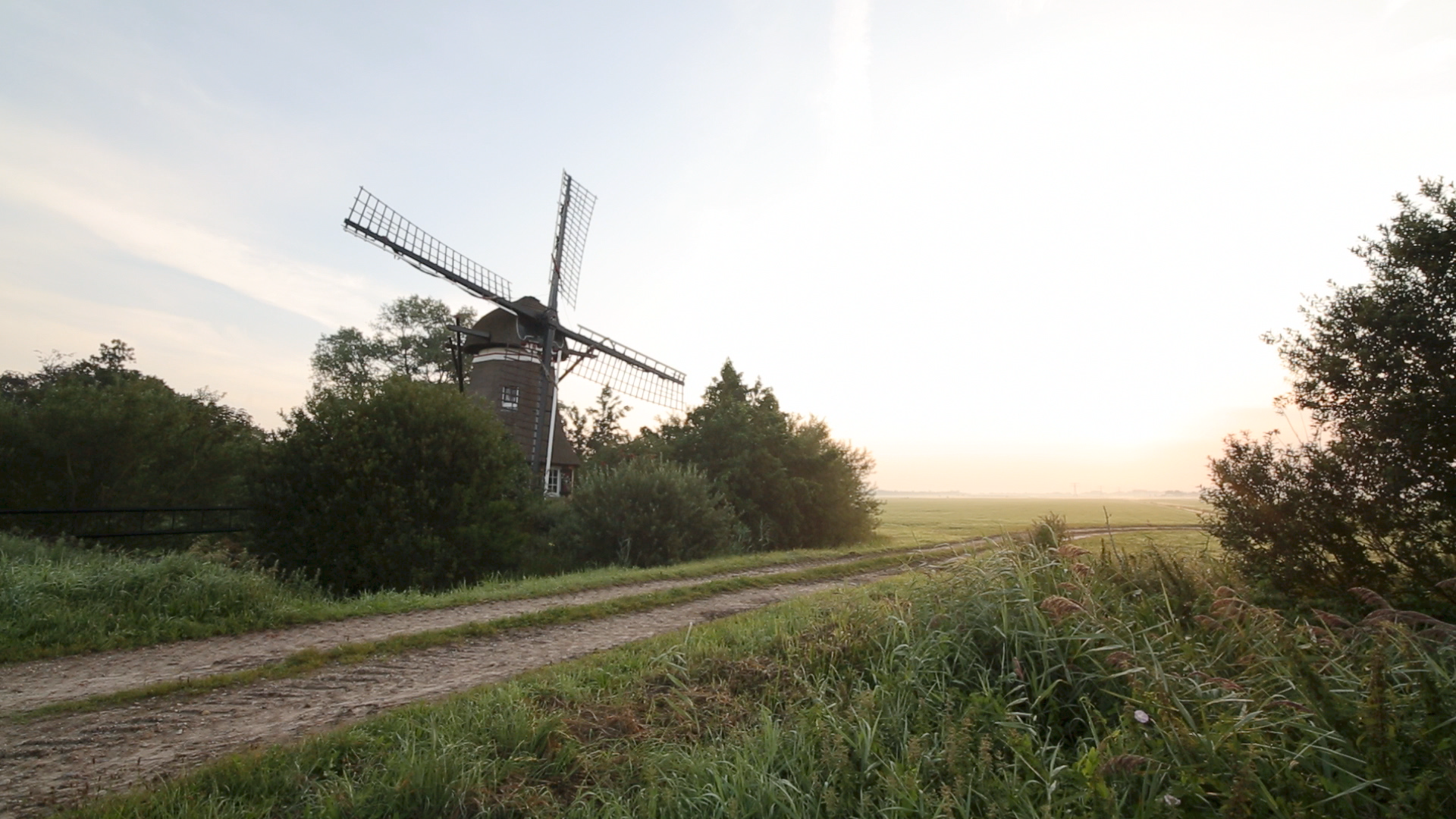 Friesland-windmill-and-dirt-road.png