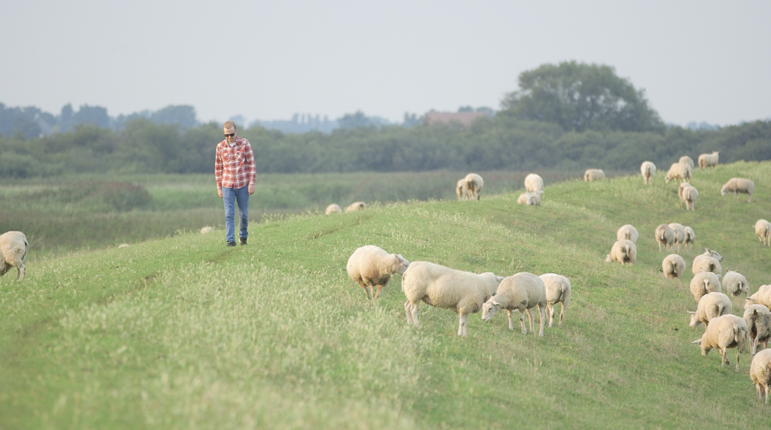 Vincent-sheep-ridge-walk.png