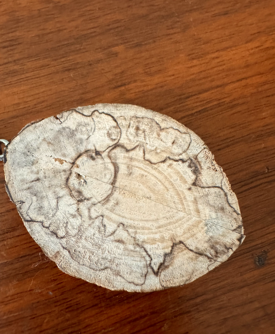 Screen Shot 2024-03-13 at 10.07.33 PM.png