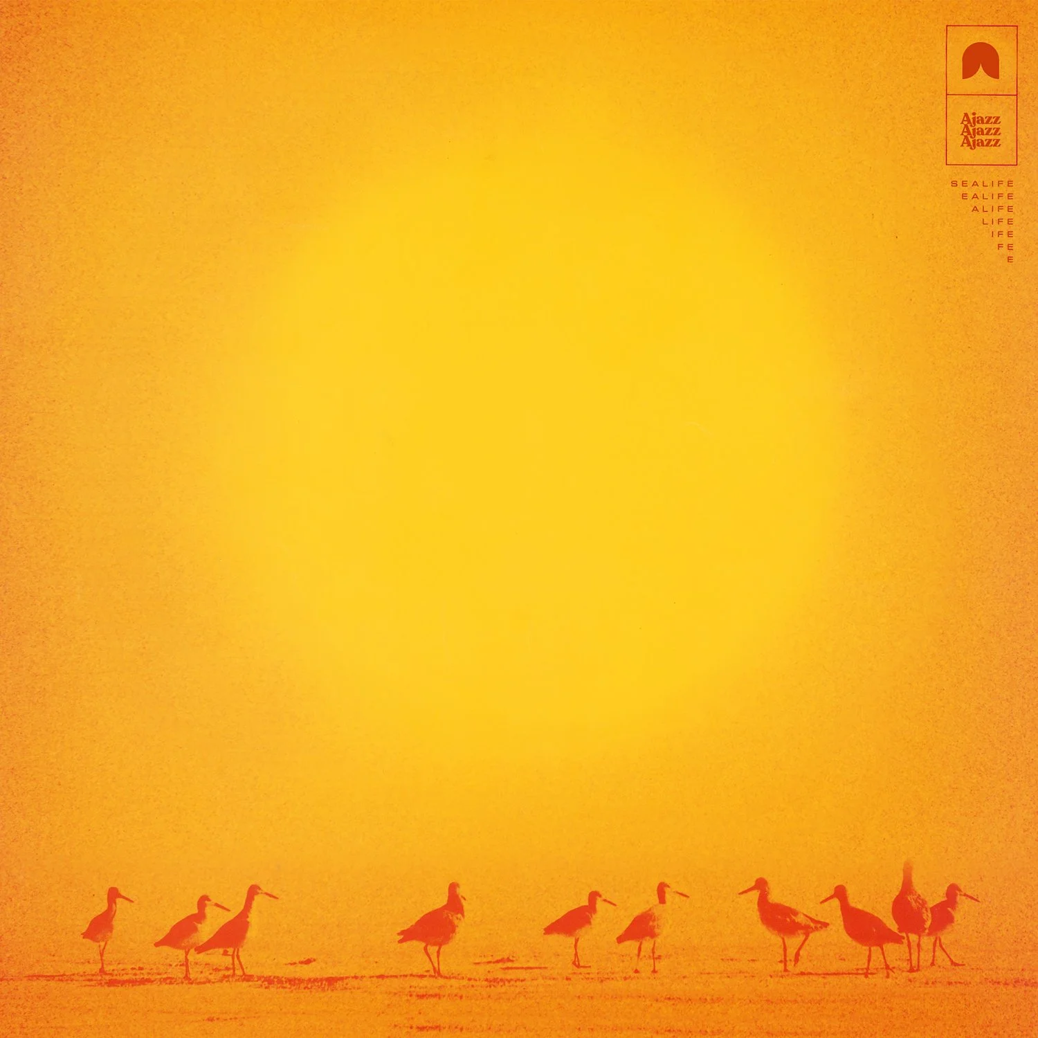 Sealife Releases New Album "A jazz"