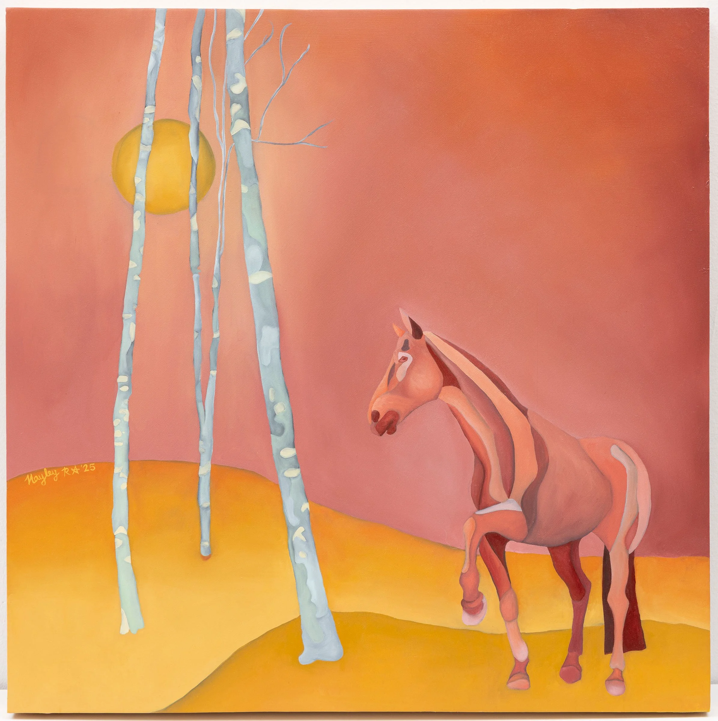   Baco in Birch Forest  2025  oil on wood panel  24 × 24 inches 