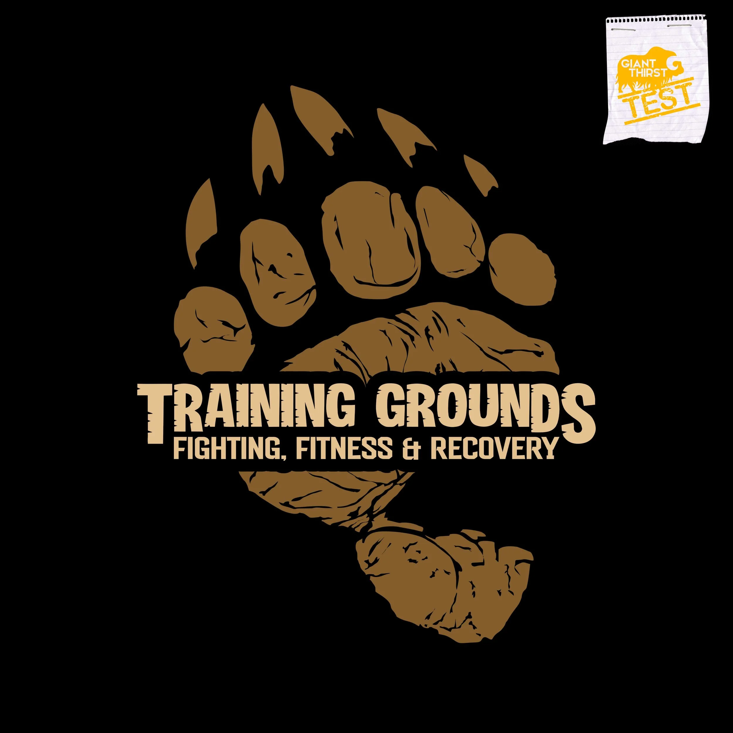 training grounds display.jpg