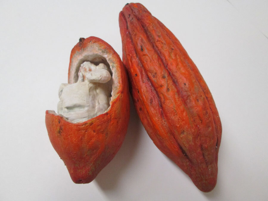 cocoa-pods.jpg