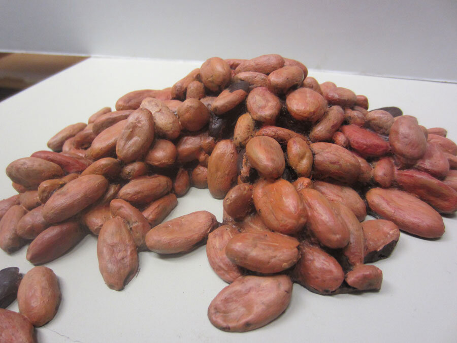 pile-of-cocoa-beans.jpg