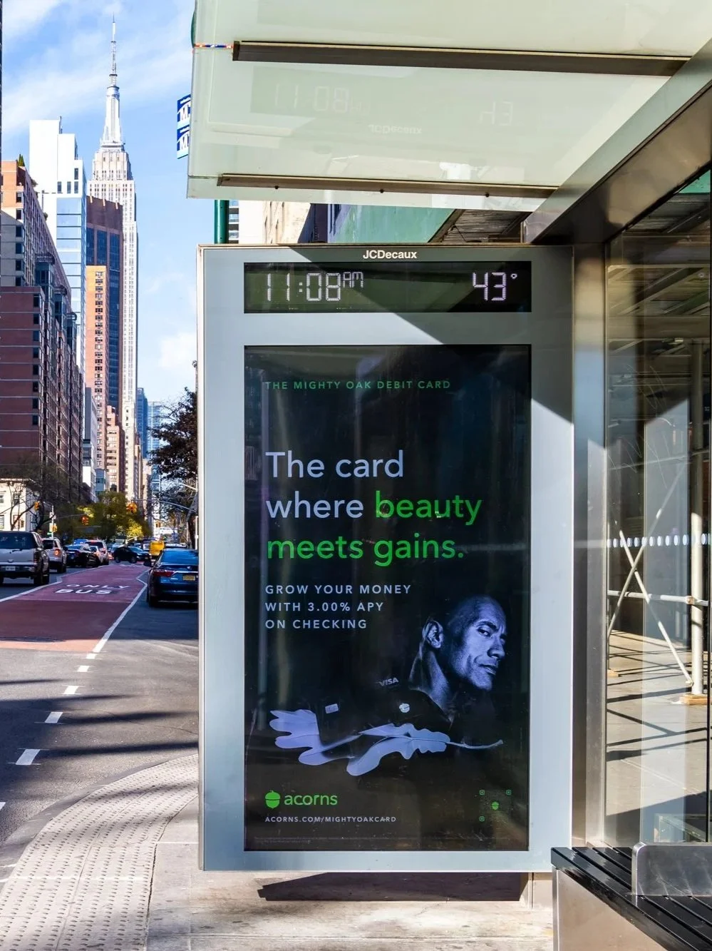 Acorns: The Mighty Oak Card