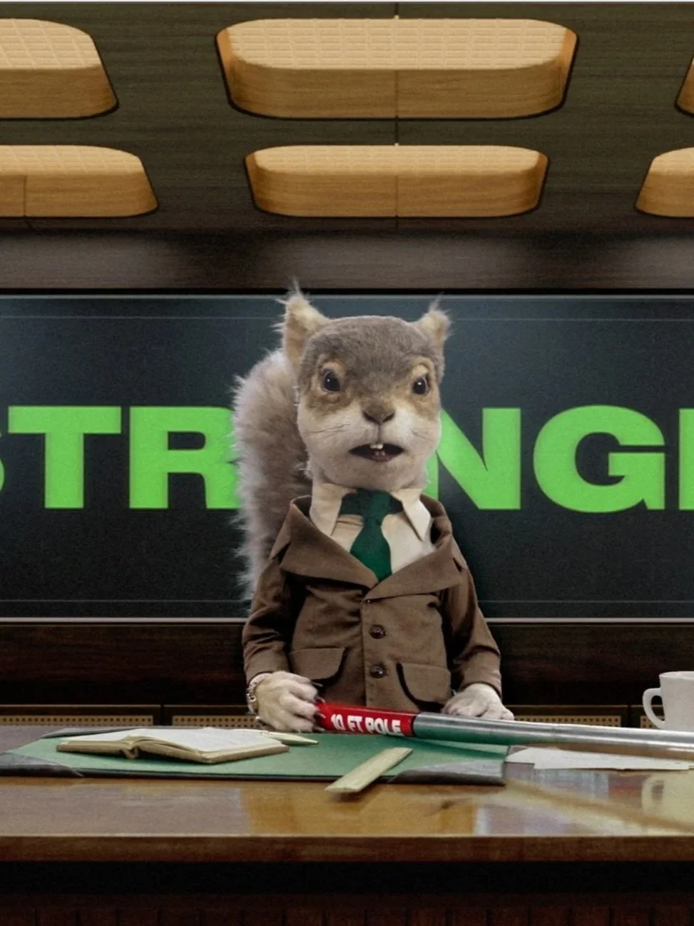 Acorns: Squirrels Know Wealth