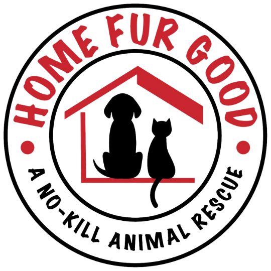 Agave Social Partners - Home Fur Good.png